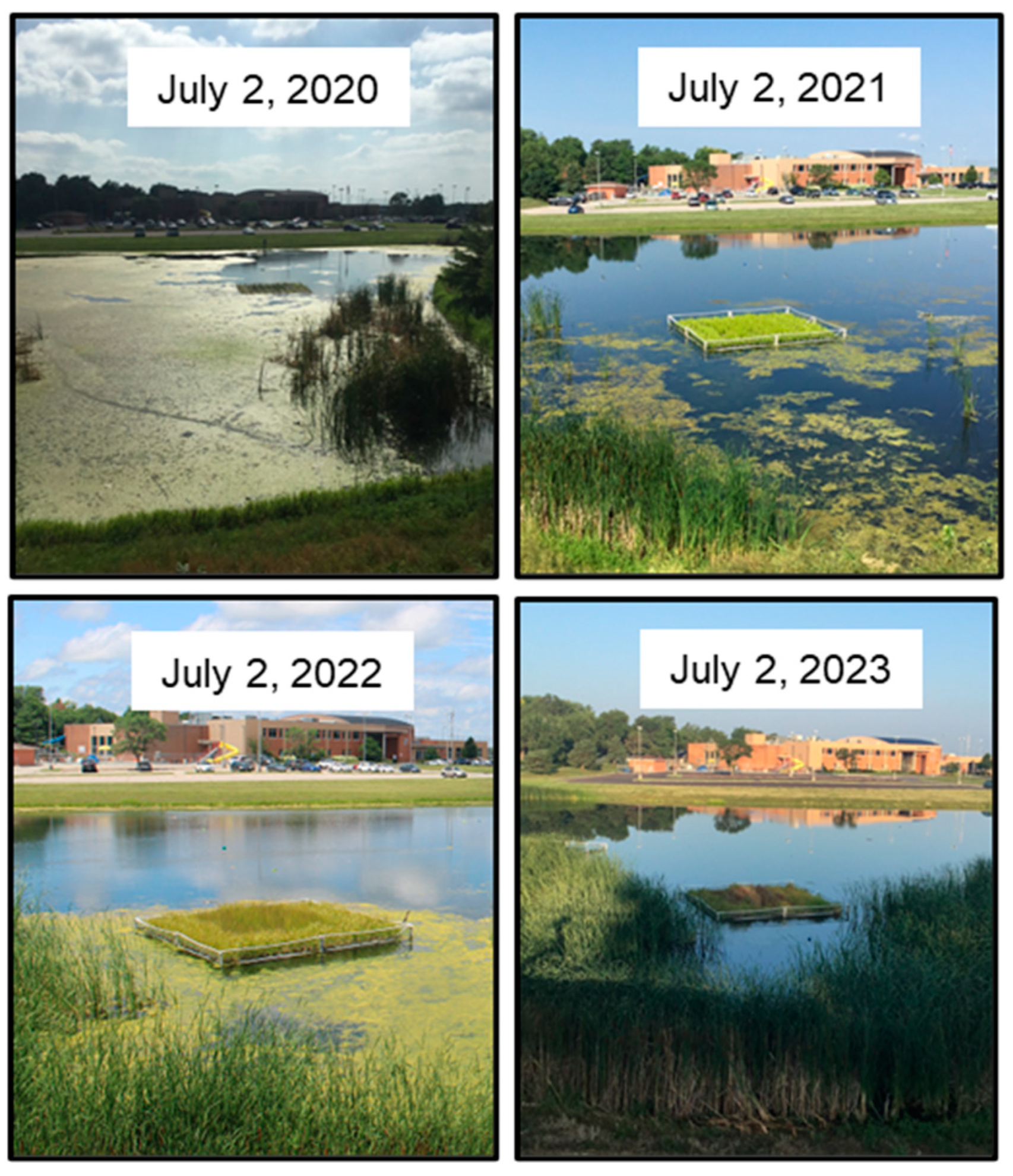 Nitrogen 05 00053 g004