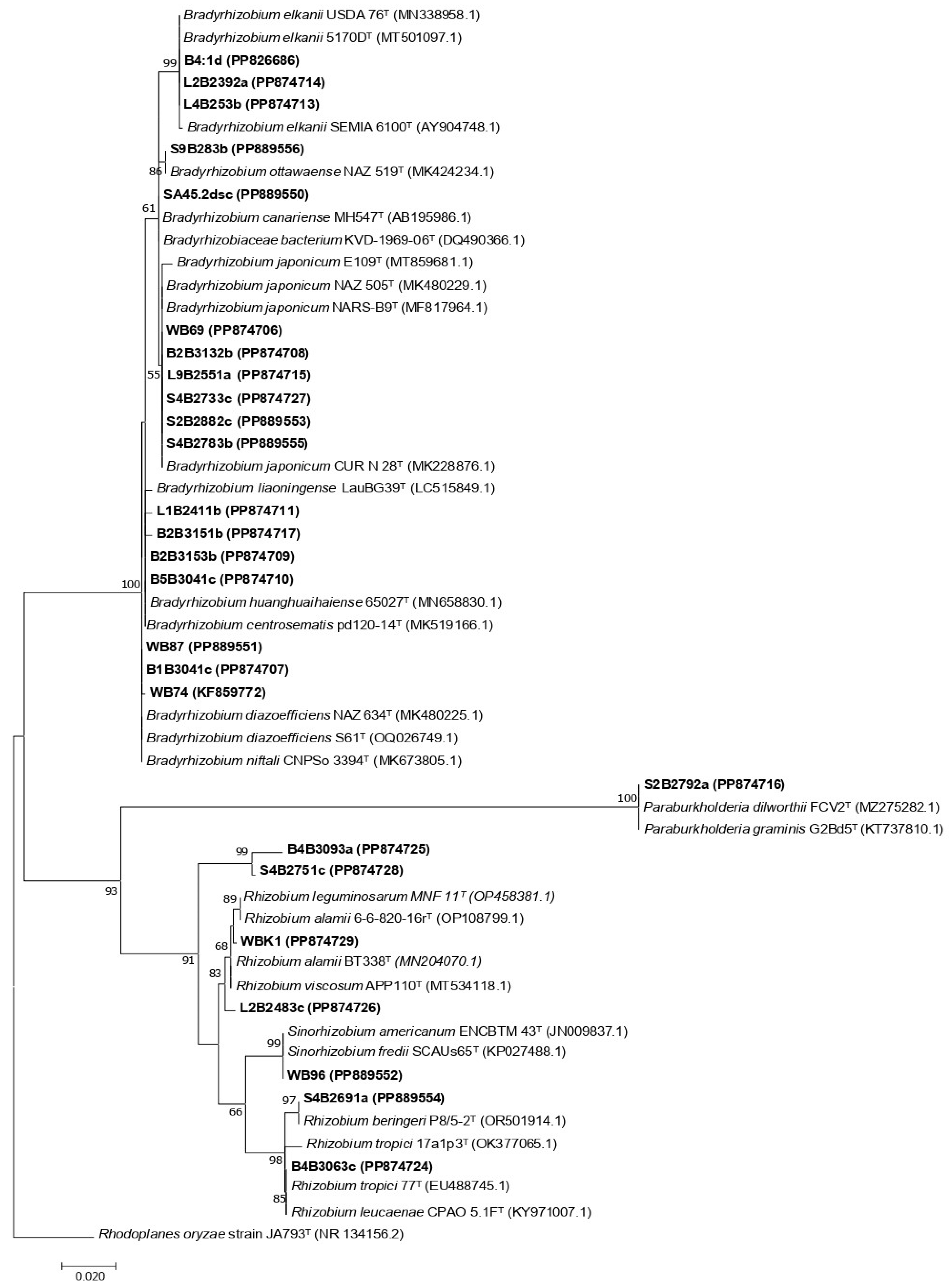 Nitrogen 05 00071 g002