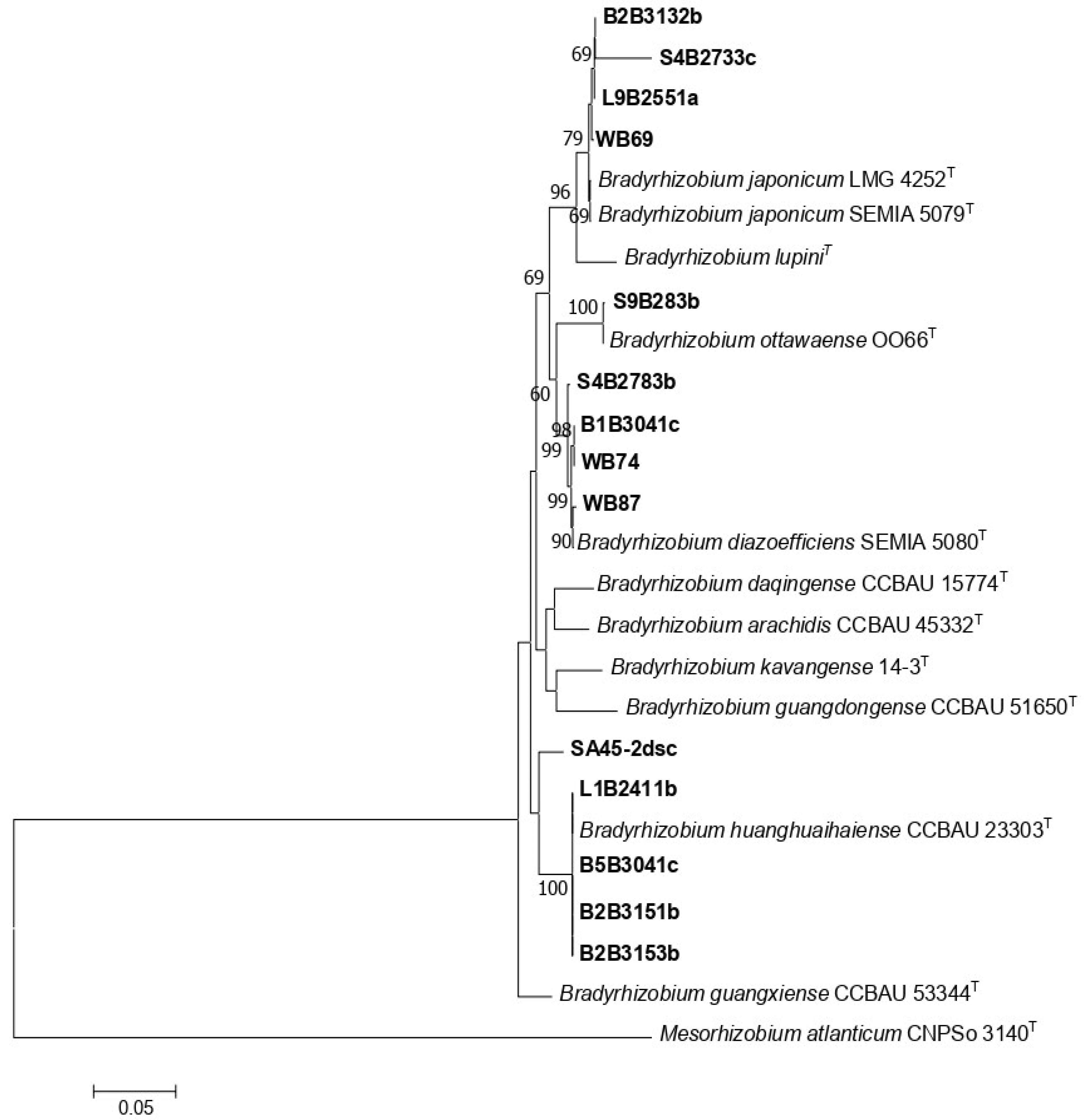 Nitrogen 05 00071 g003