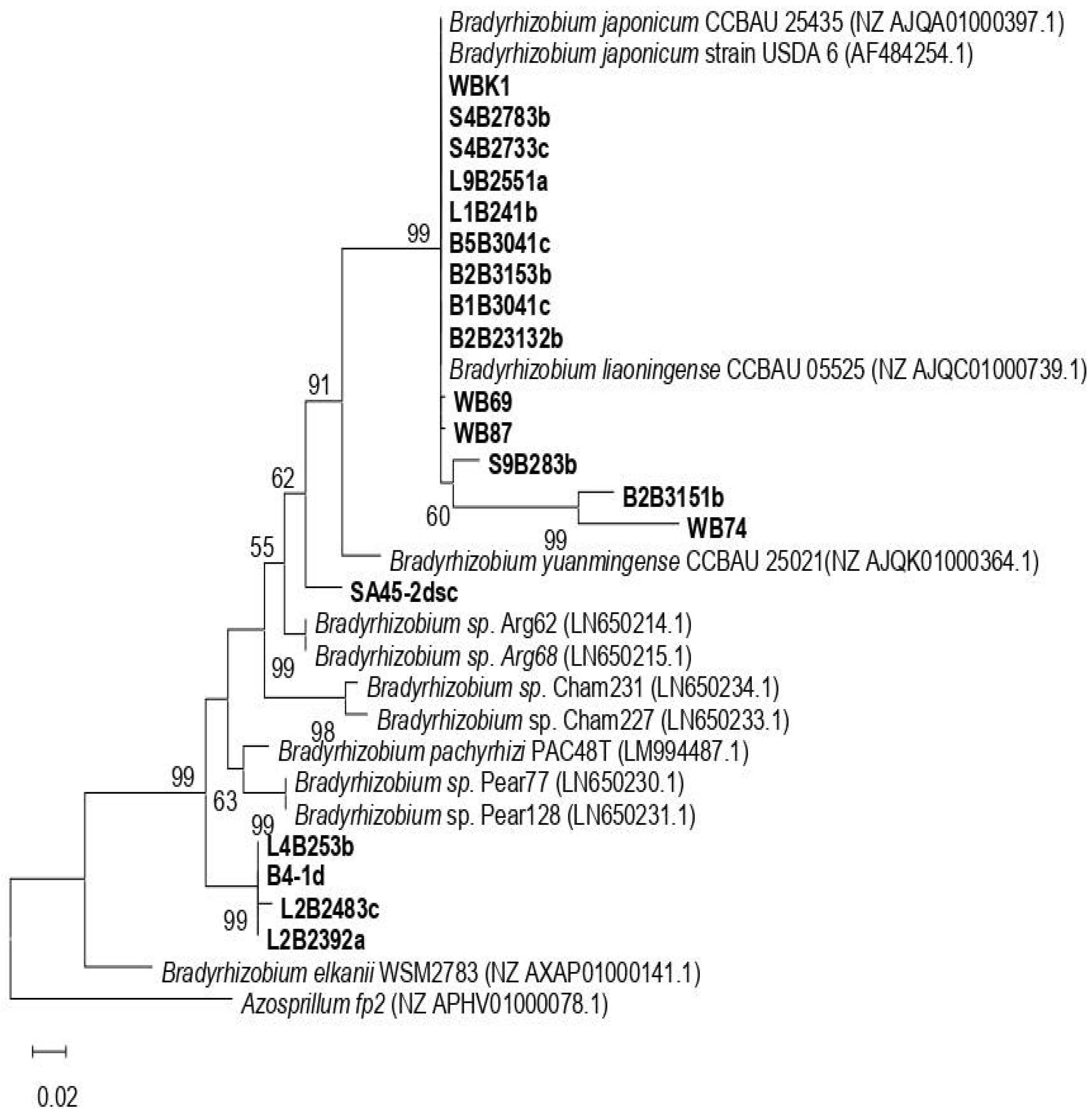 Nitrogen 05 00071 g005