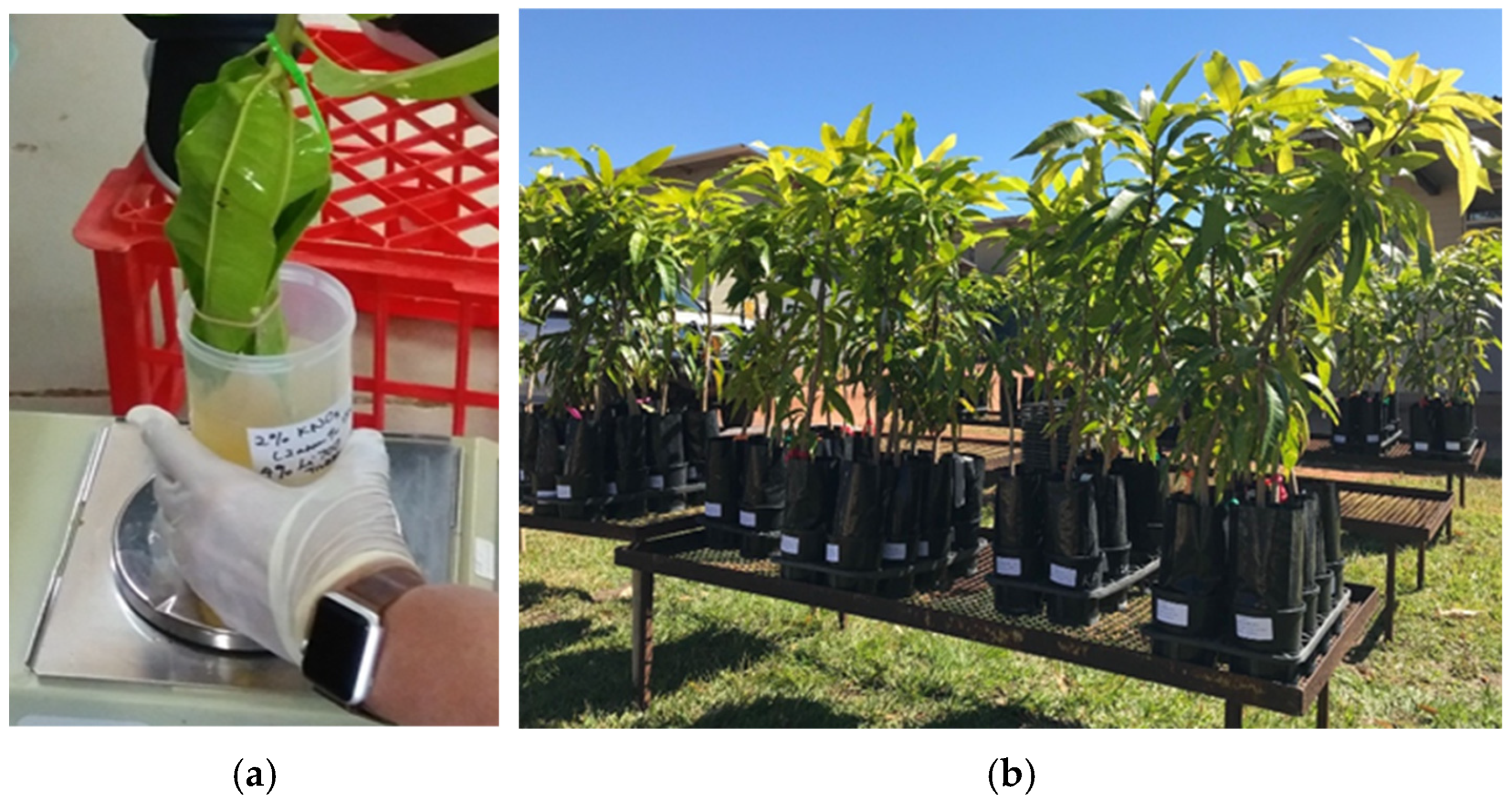 Nitrogen 05 00072 g001