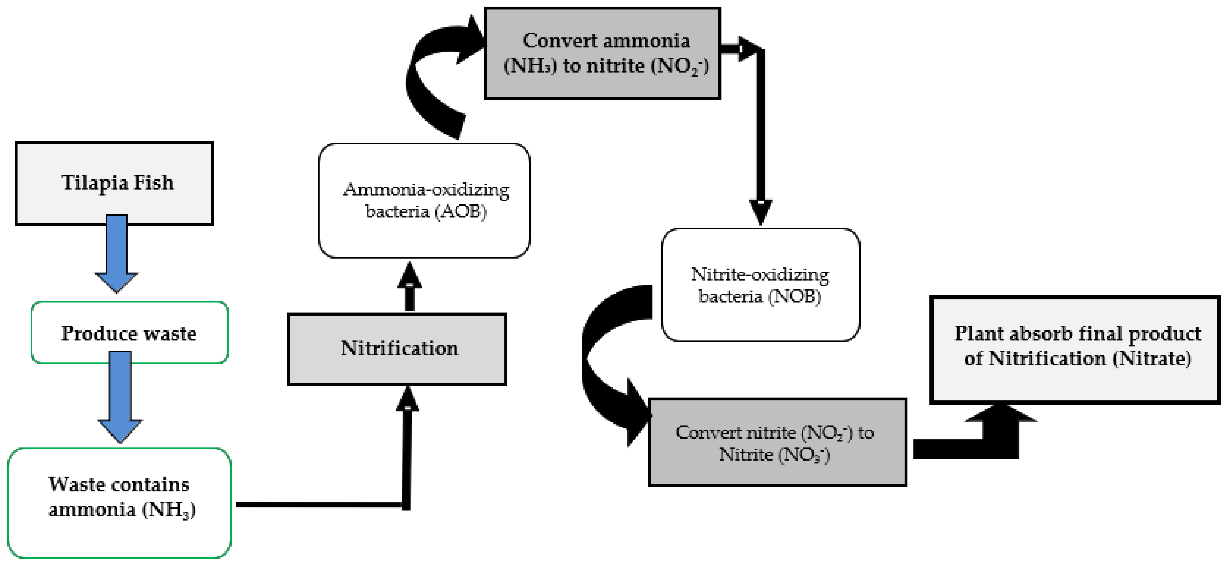Nitrogen 06 00003 g002