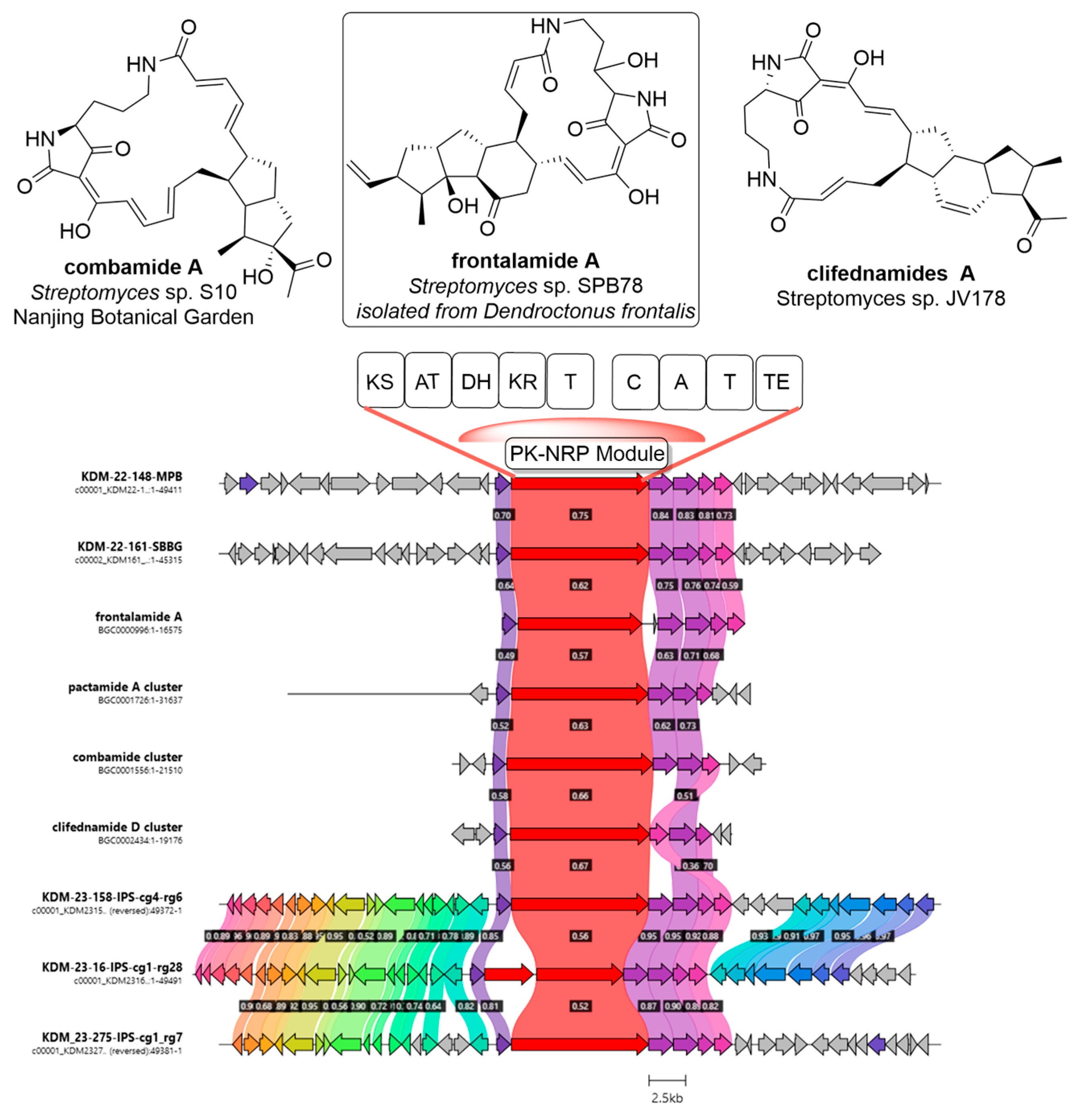 Nitrogen 06 00013 g003