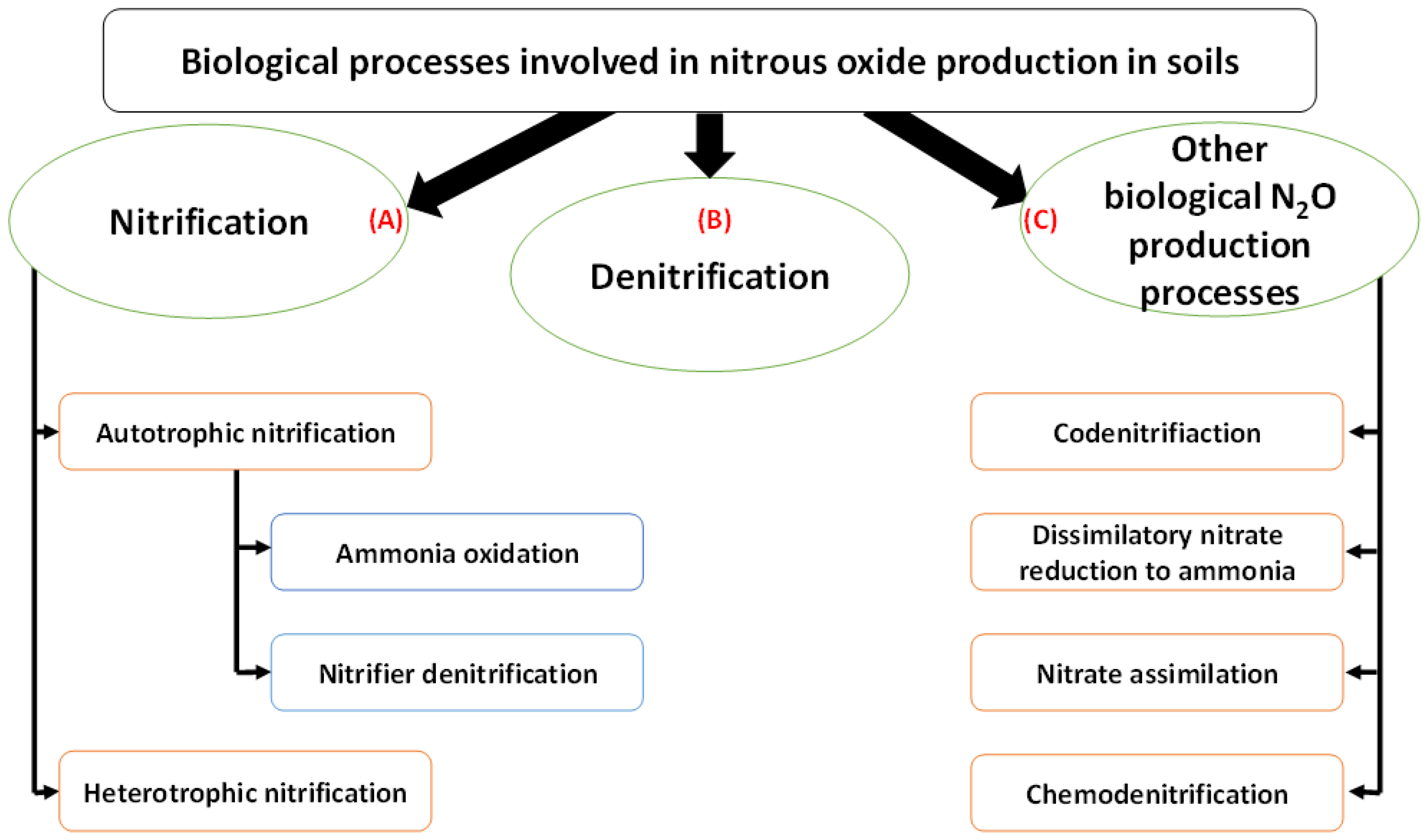 Nitrogen 06 00014 g002 Nitrogen 06 00014 g002
