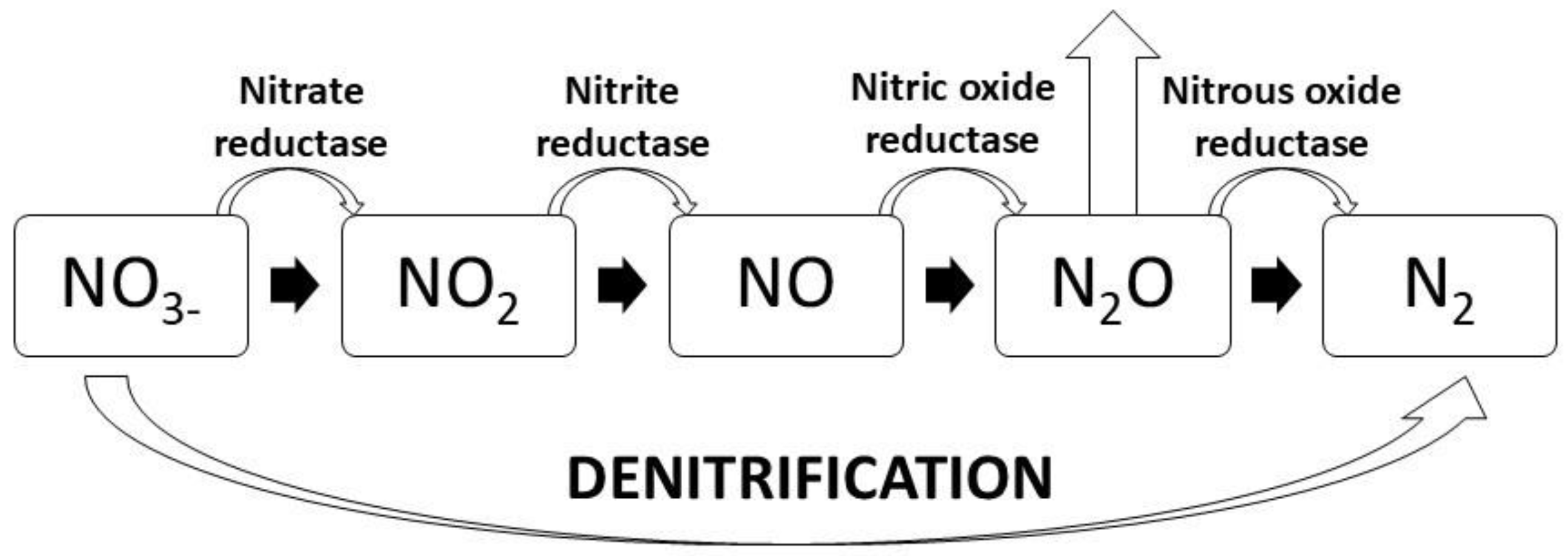 Nitrogen 06 00014 g004 Nitrogen 06 00014 g004