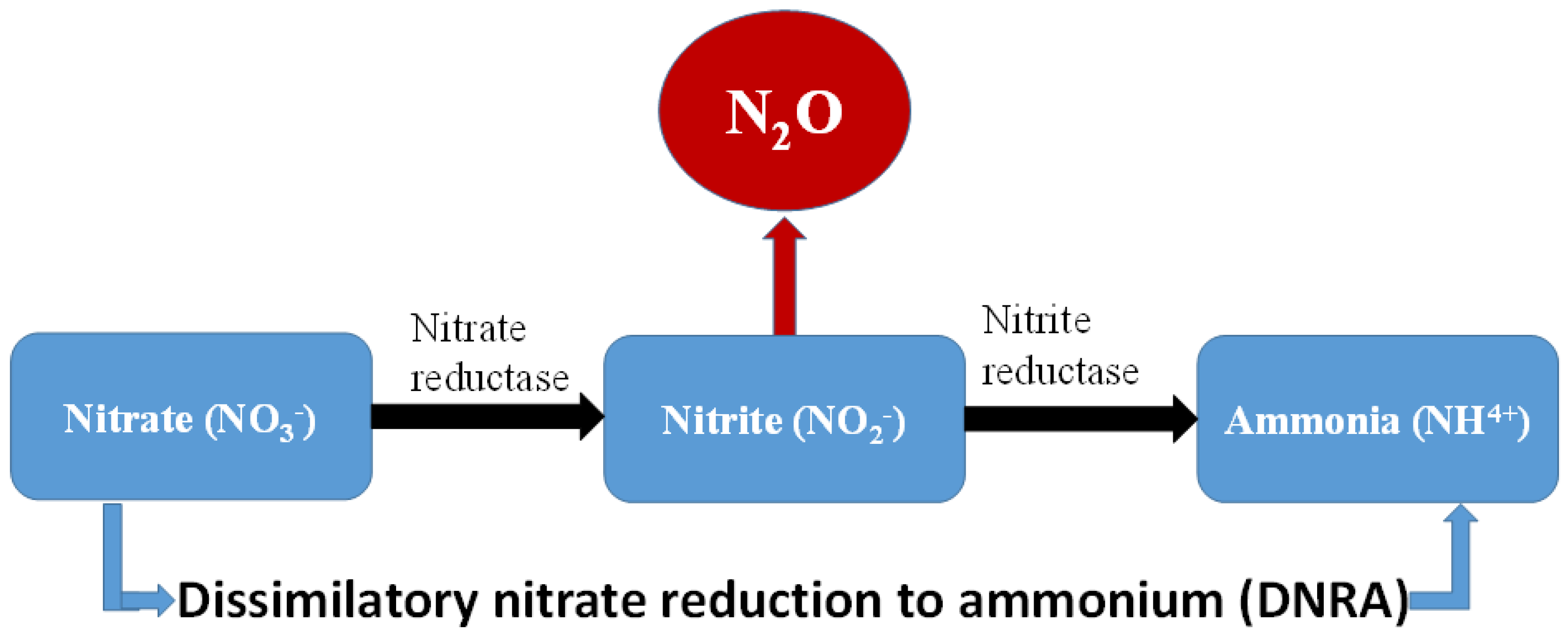 Nitrogen 06 00014 g005 Nitrogen 06 00014 g005