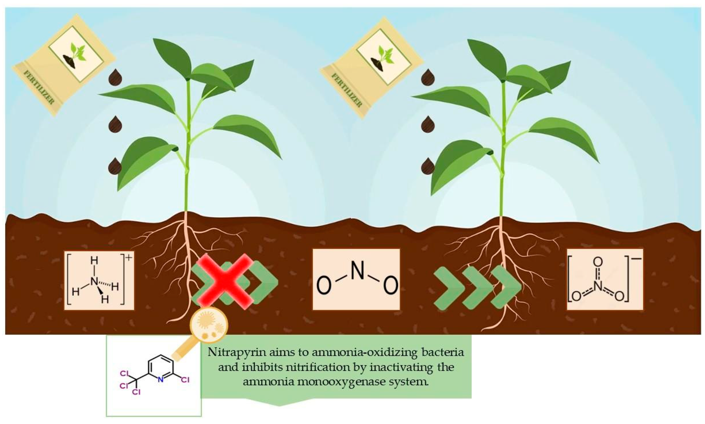 Nitrogen 06 00015 g001