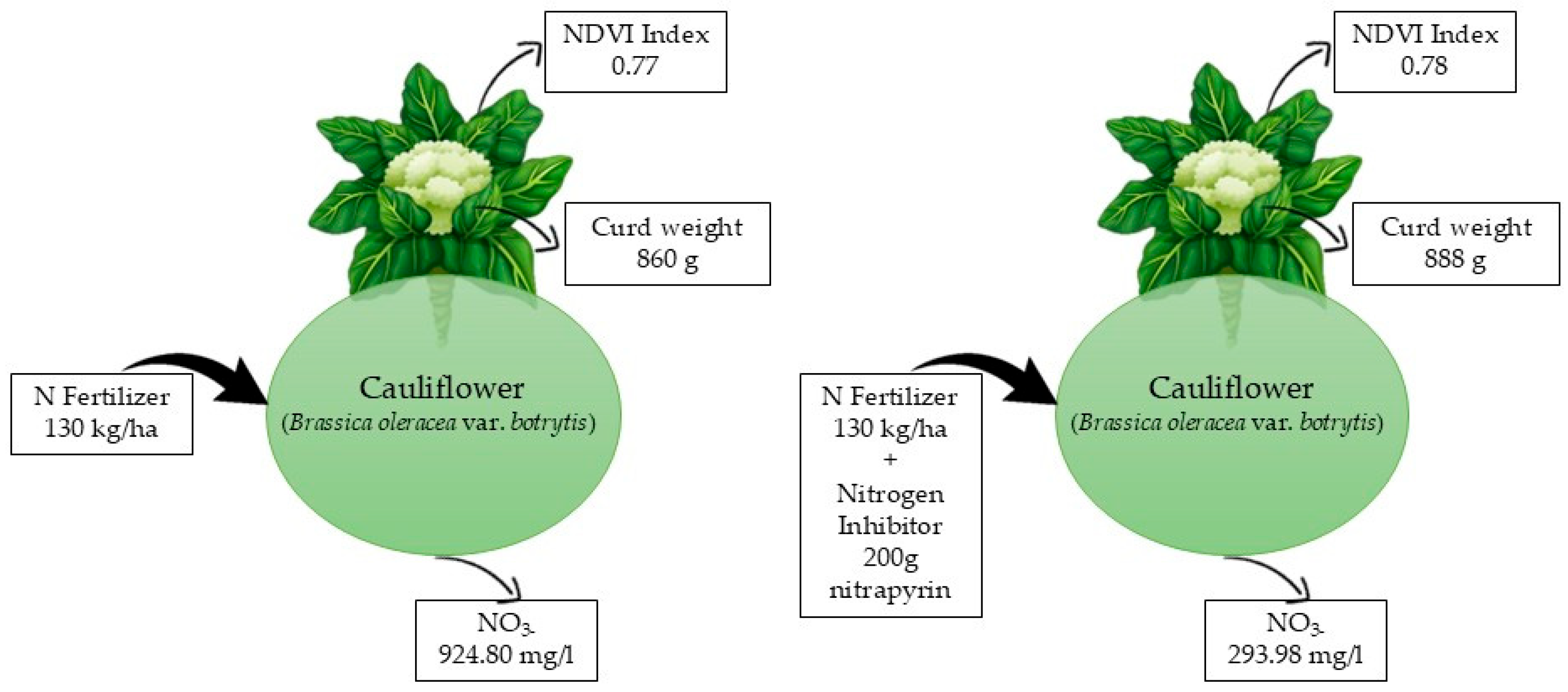 Nitrogen 06 00015 g005