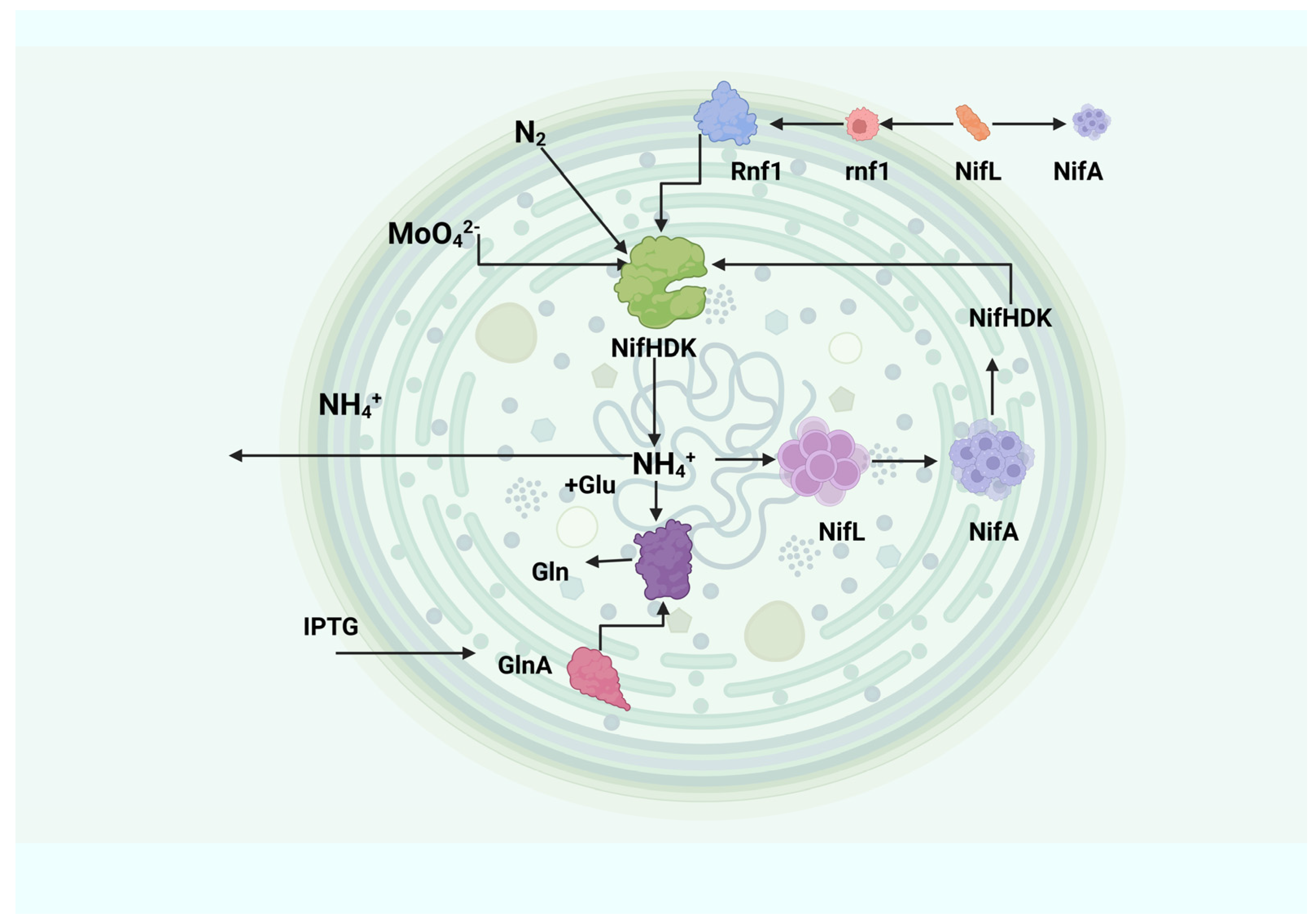 Nitrogen 06 00016 g002