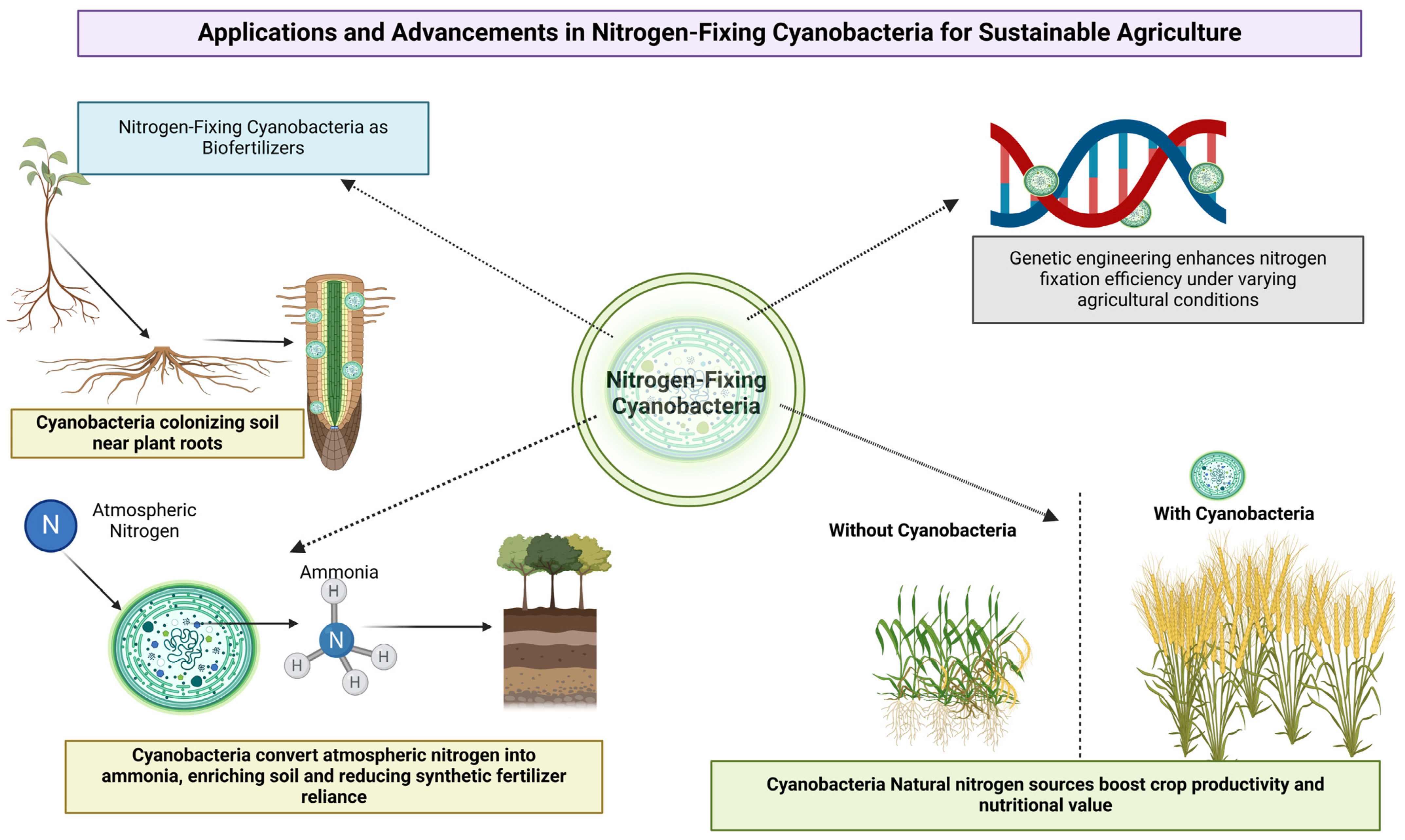 Nitrogen 06 00016 g003