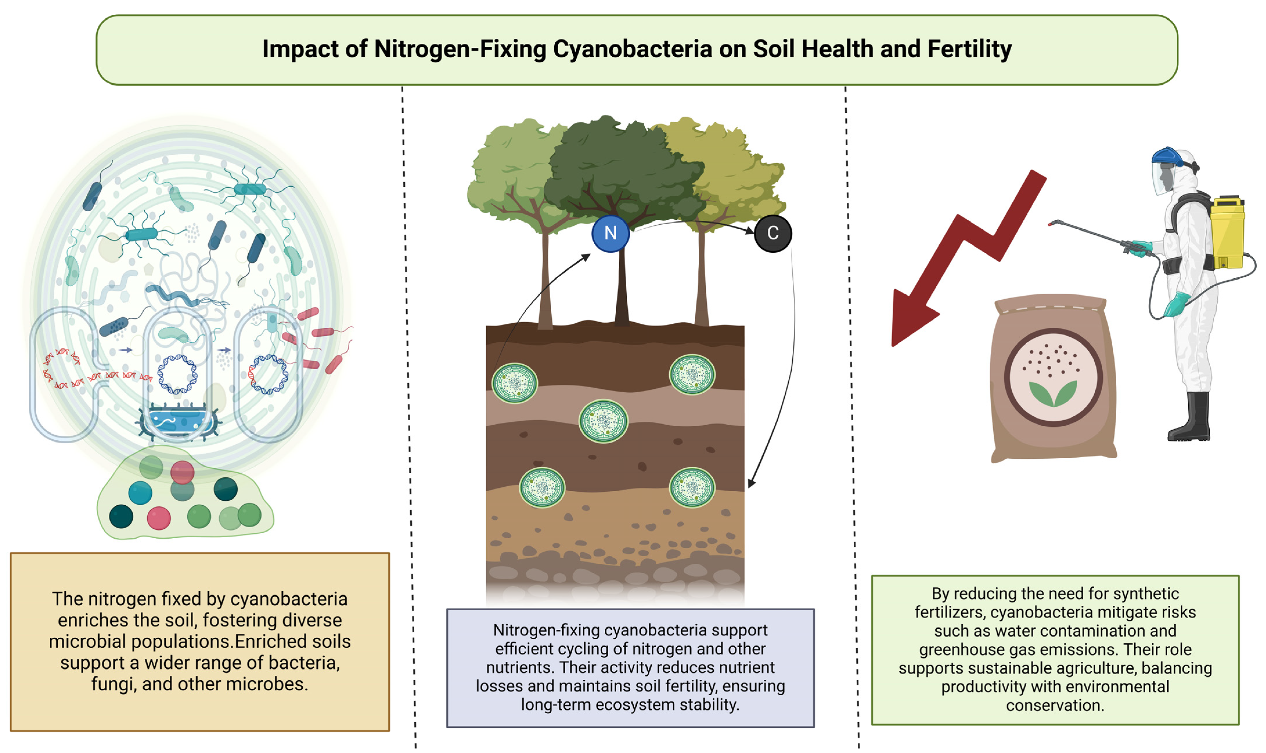 Nitrogen 06 00016 g004