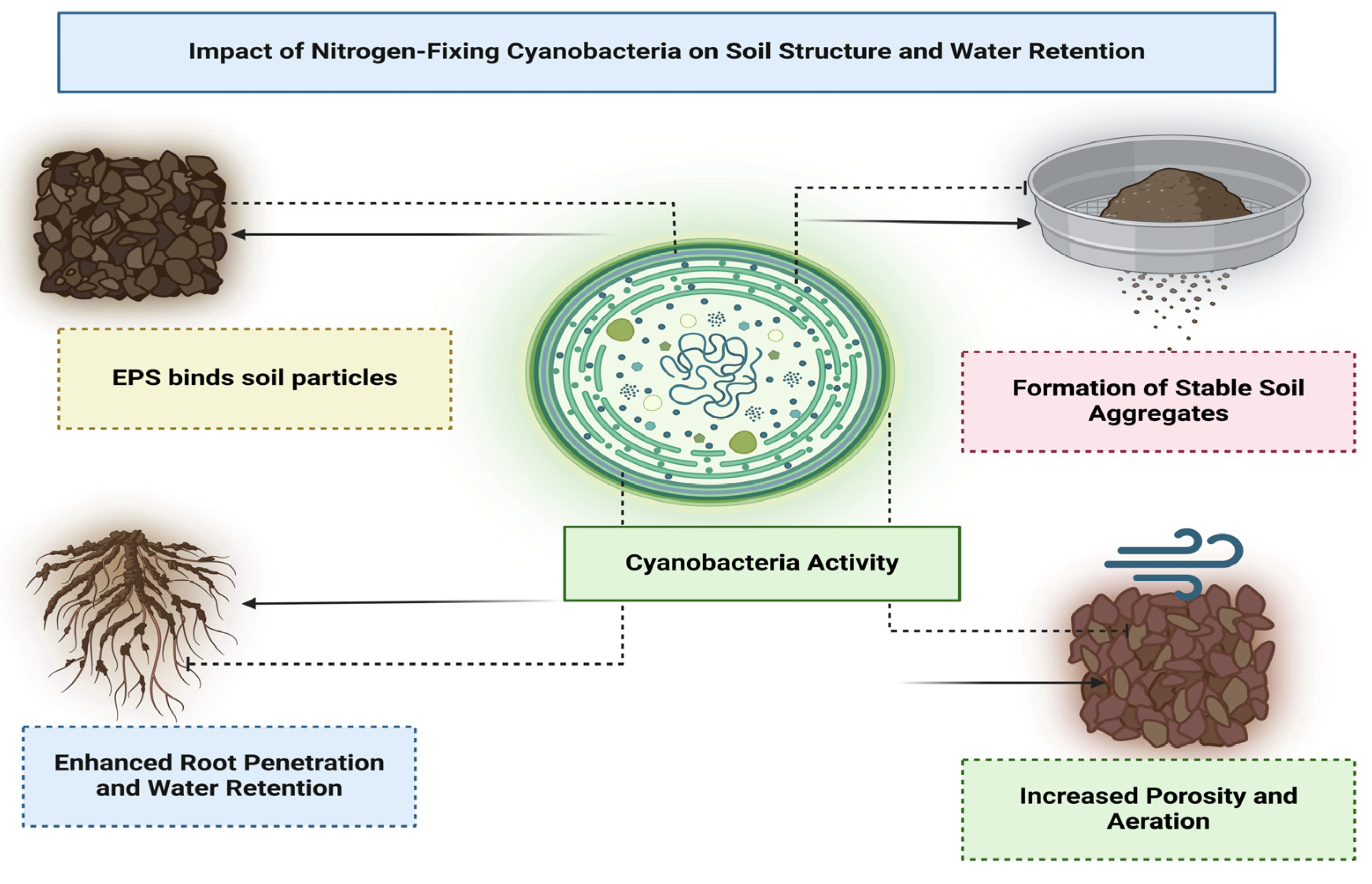 Nitrogen 06 00016 g005
