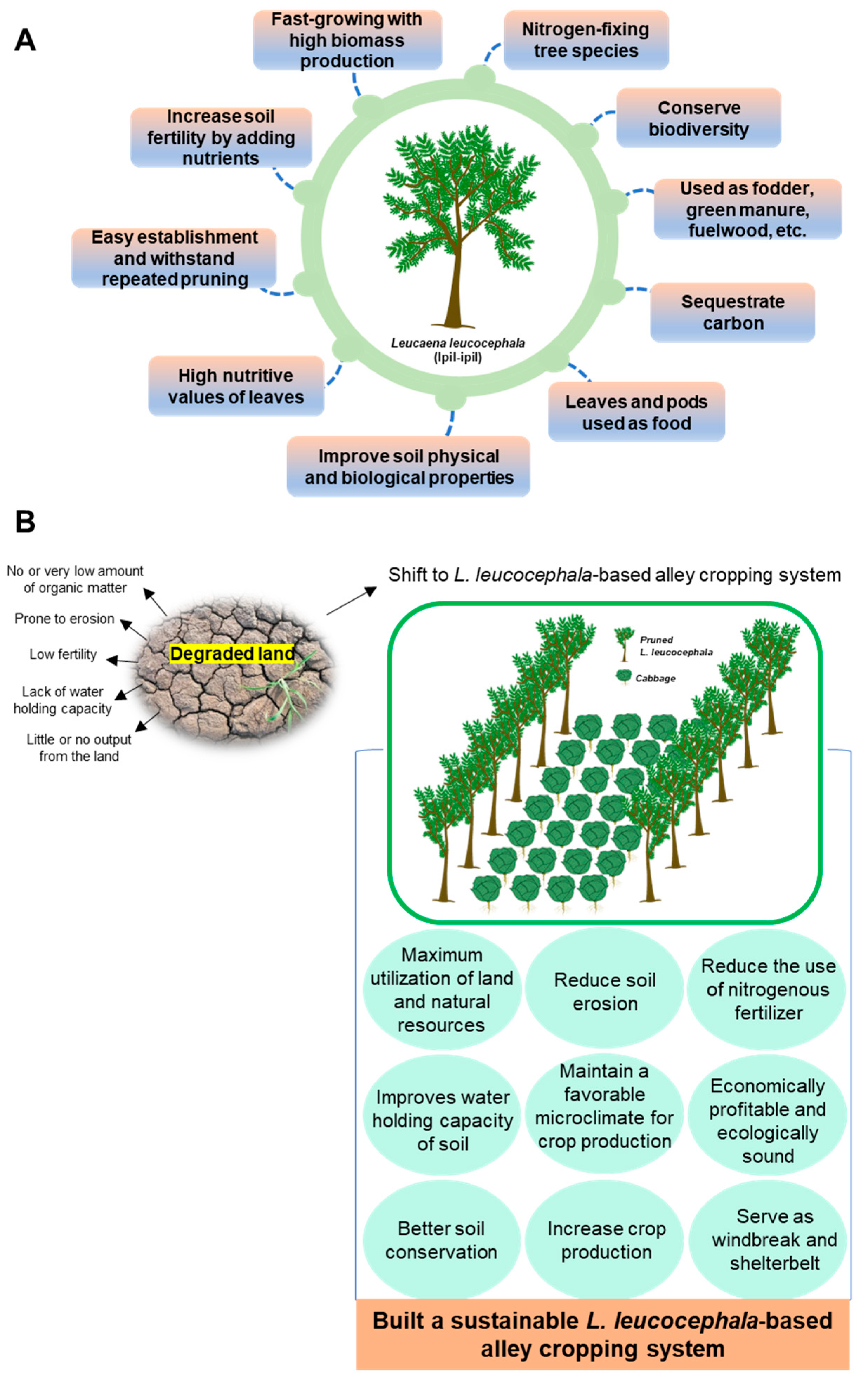 Nitrogen 06 00025 g005