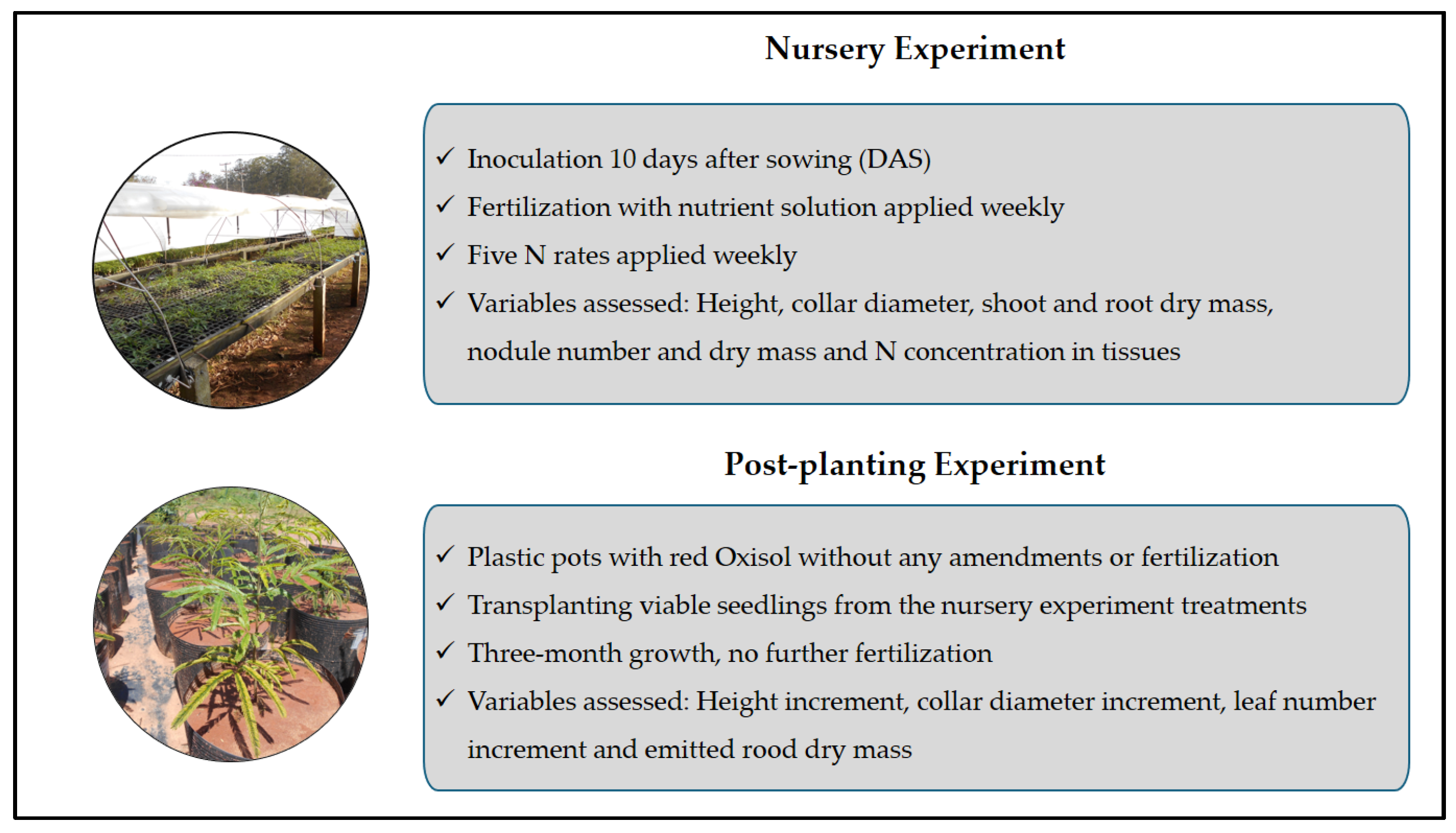 Nitrogen 06 00026 g001 Nitrogen 06 00026 g001