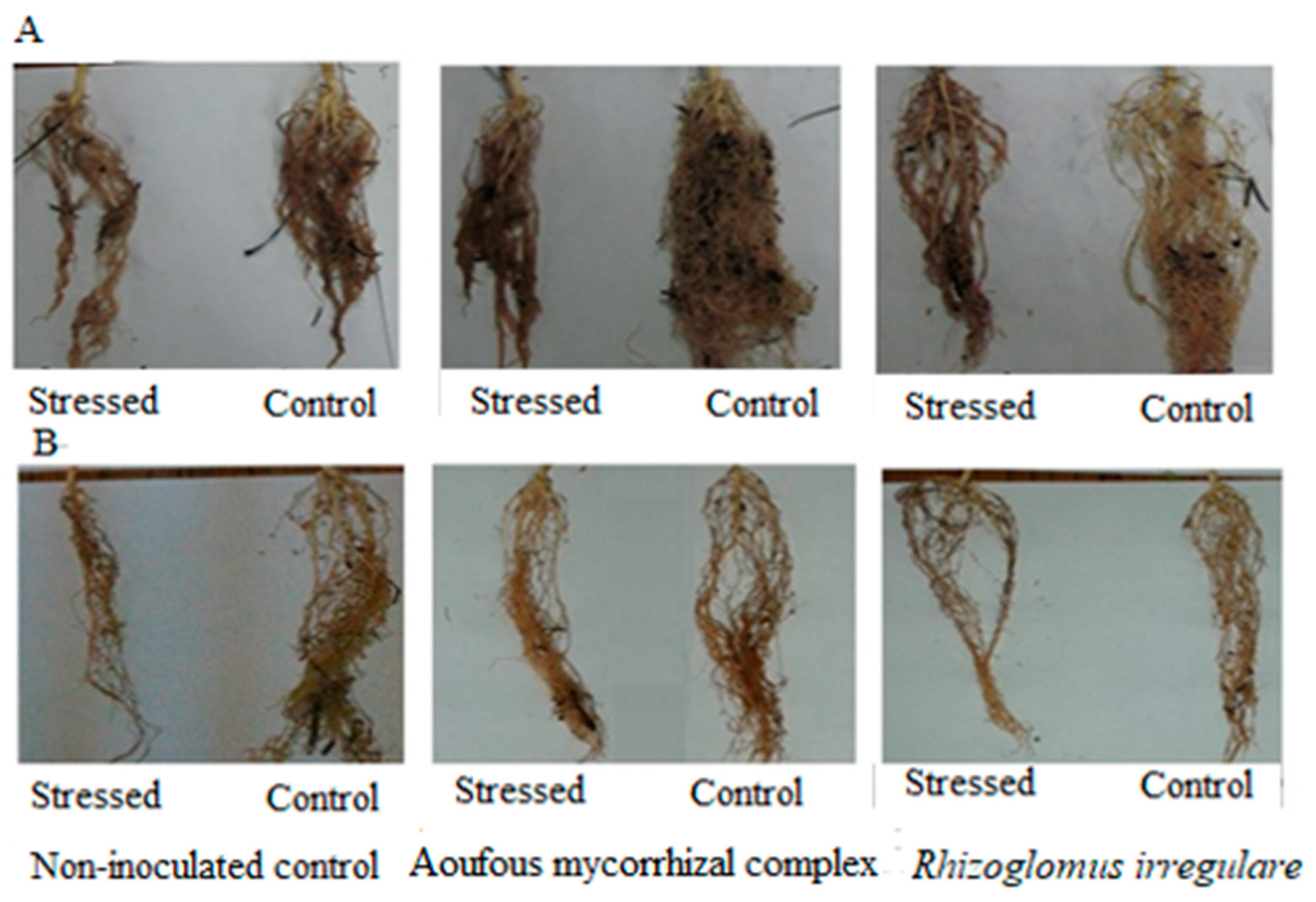 Nitrogen 06 00027 g006
