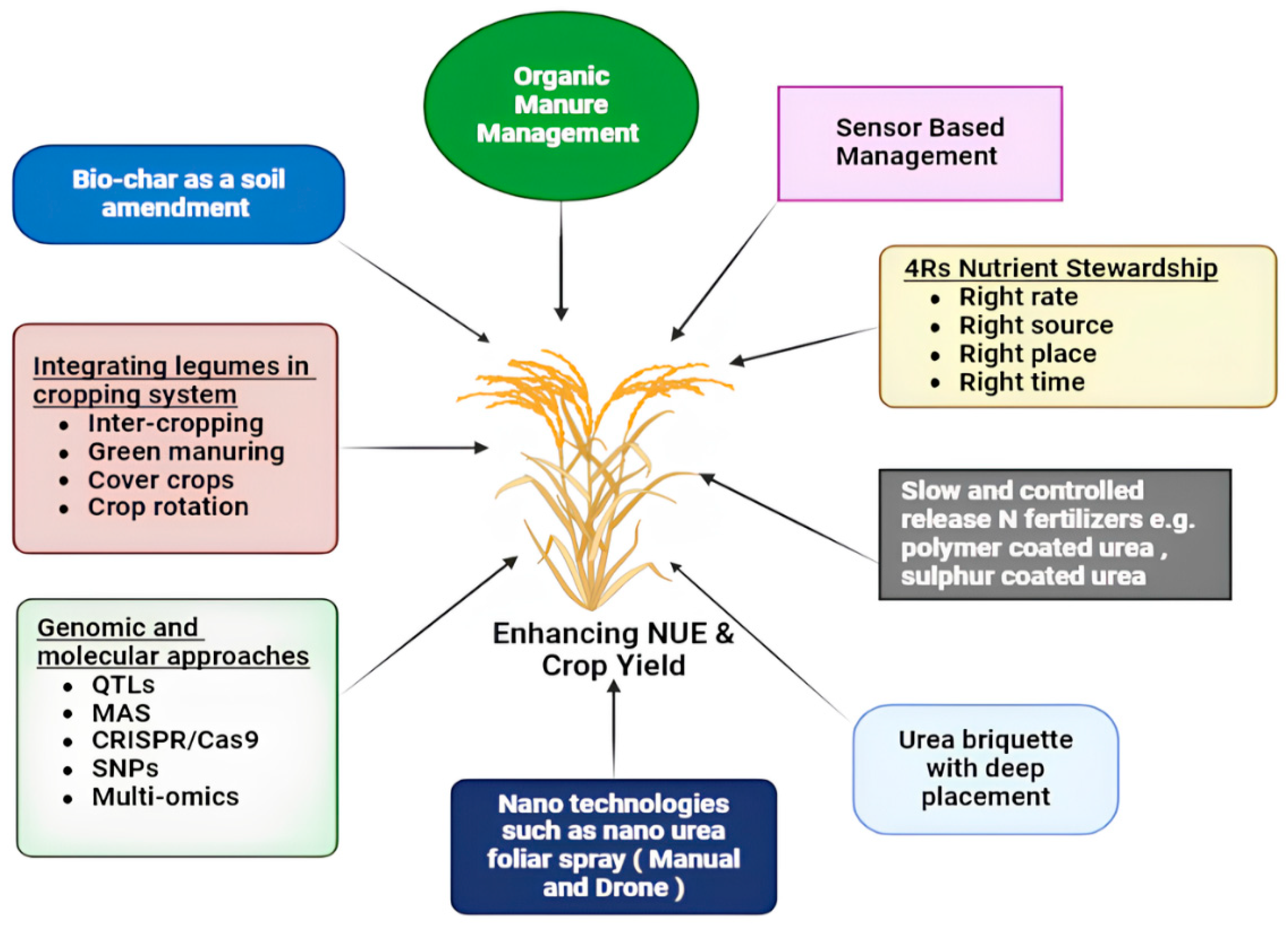 Nitrogen 06 00034 g001 Nitrogen 06 00034 g001