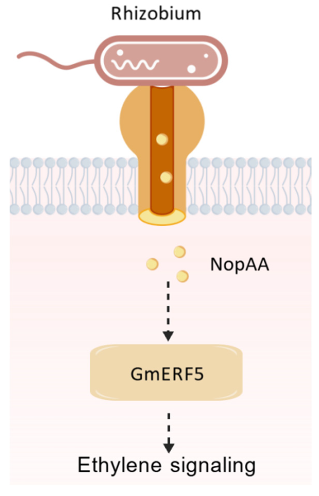 Nitrogen 06 00038 g006