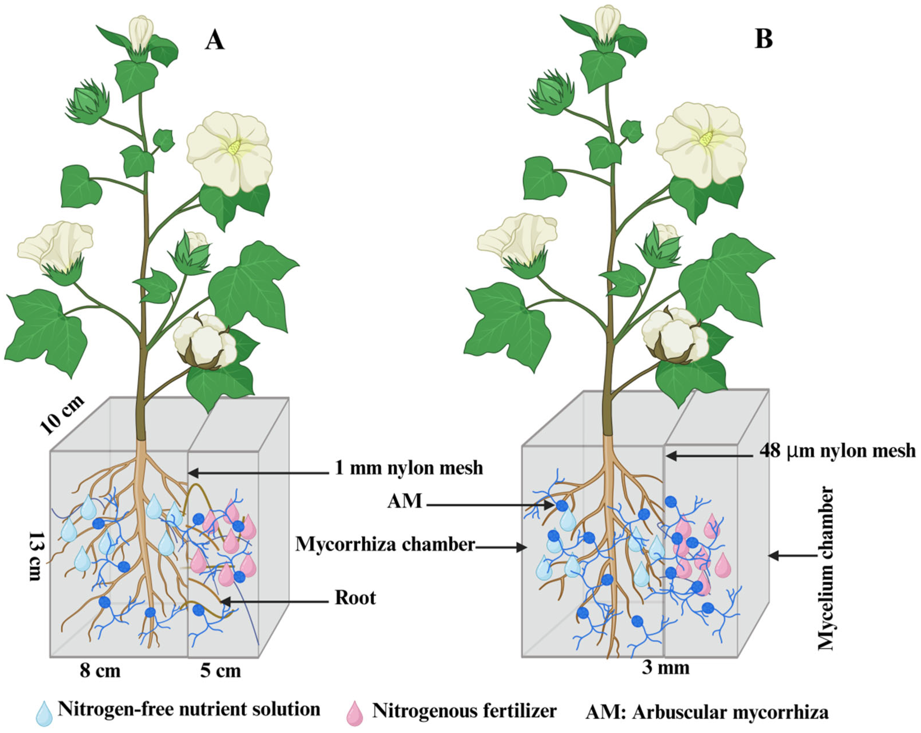 その他 mao The role of exosomes in immunopathology and potential