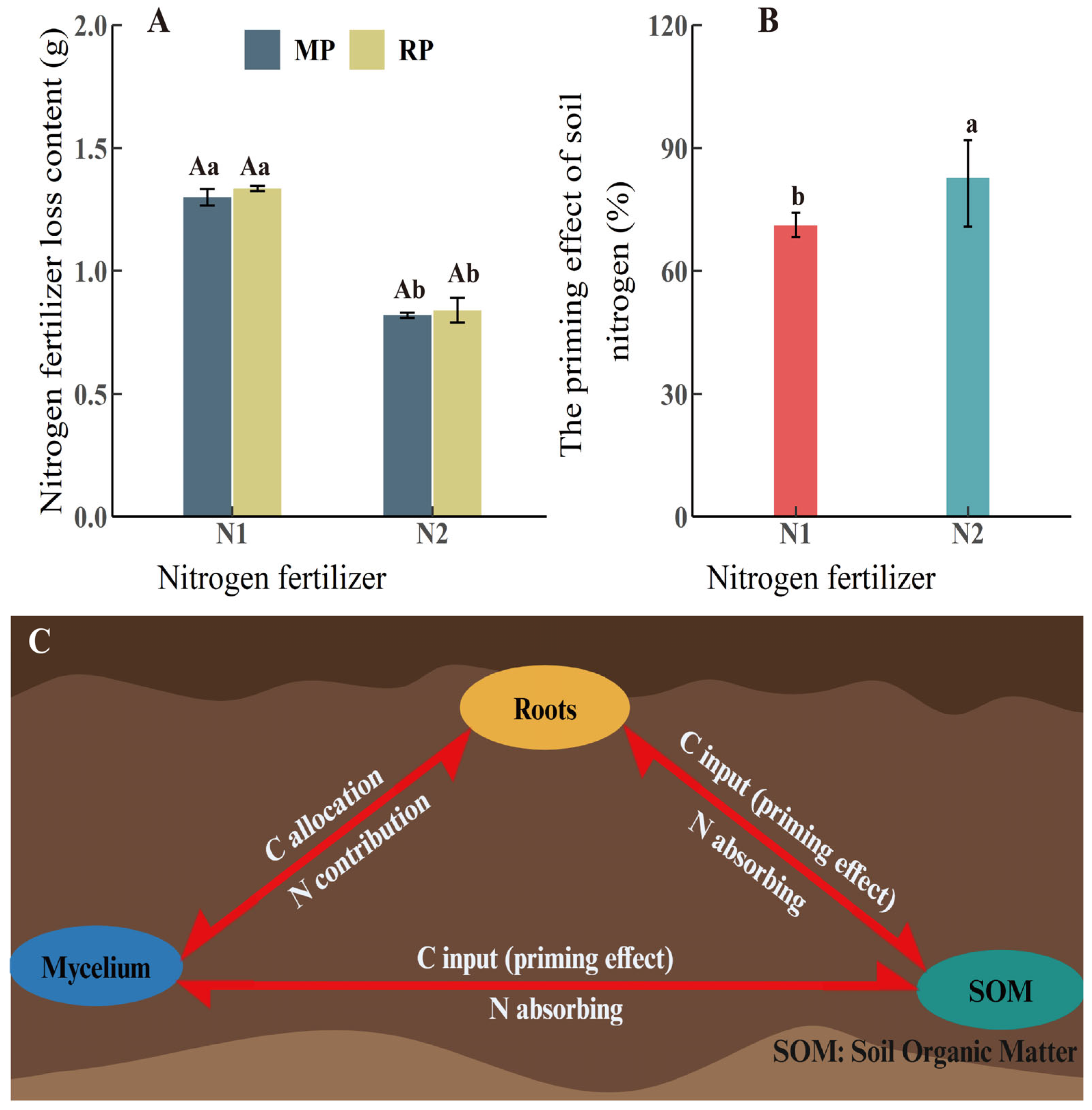 Nitrogen 06 00055 g004 Nitrogen 06 00055 g004