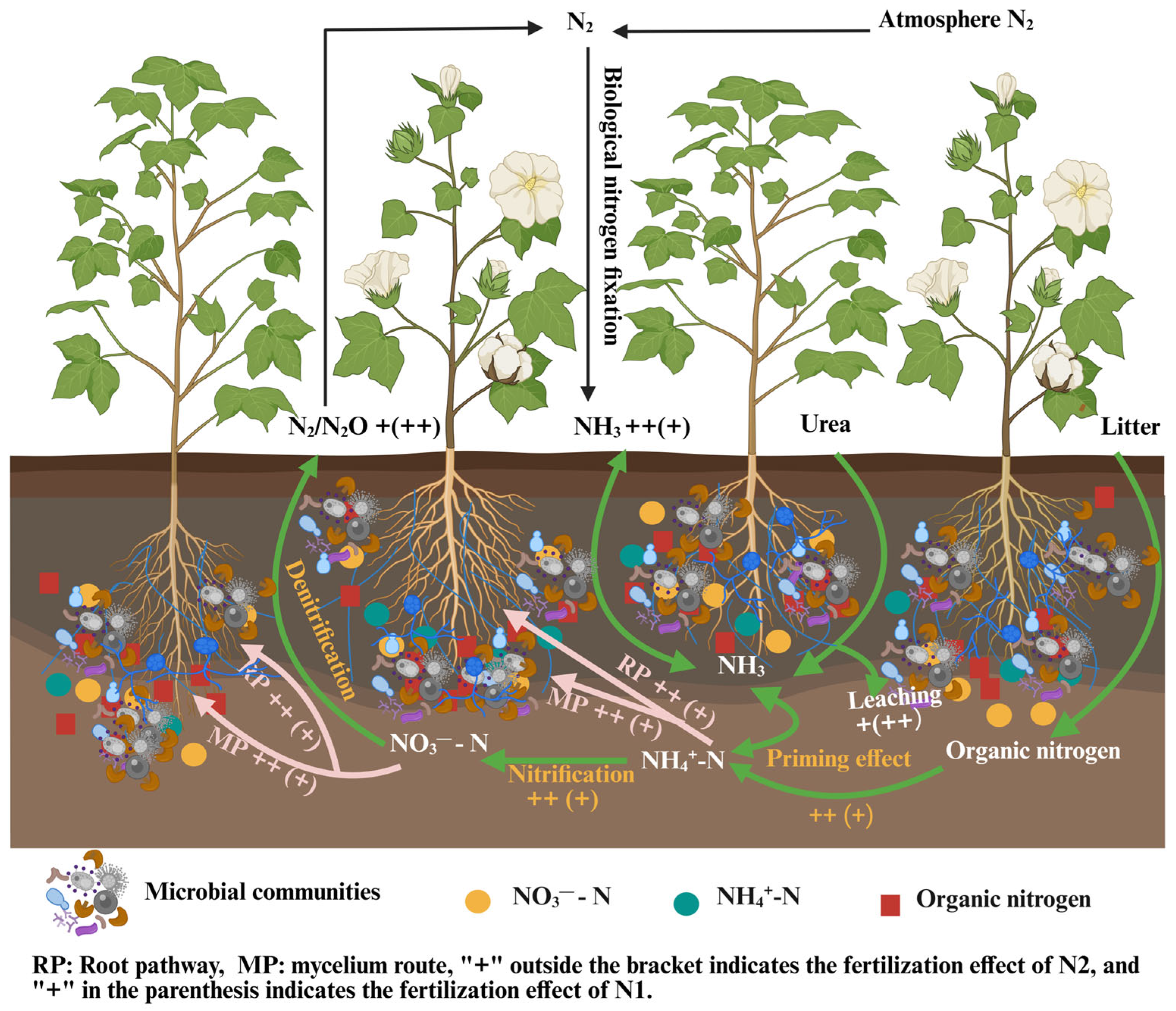 Nitrogen 06 00055 g006 Nitrogen 06 00055 g006