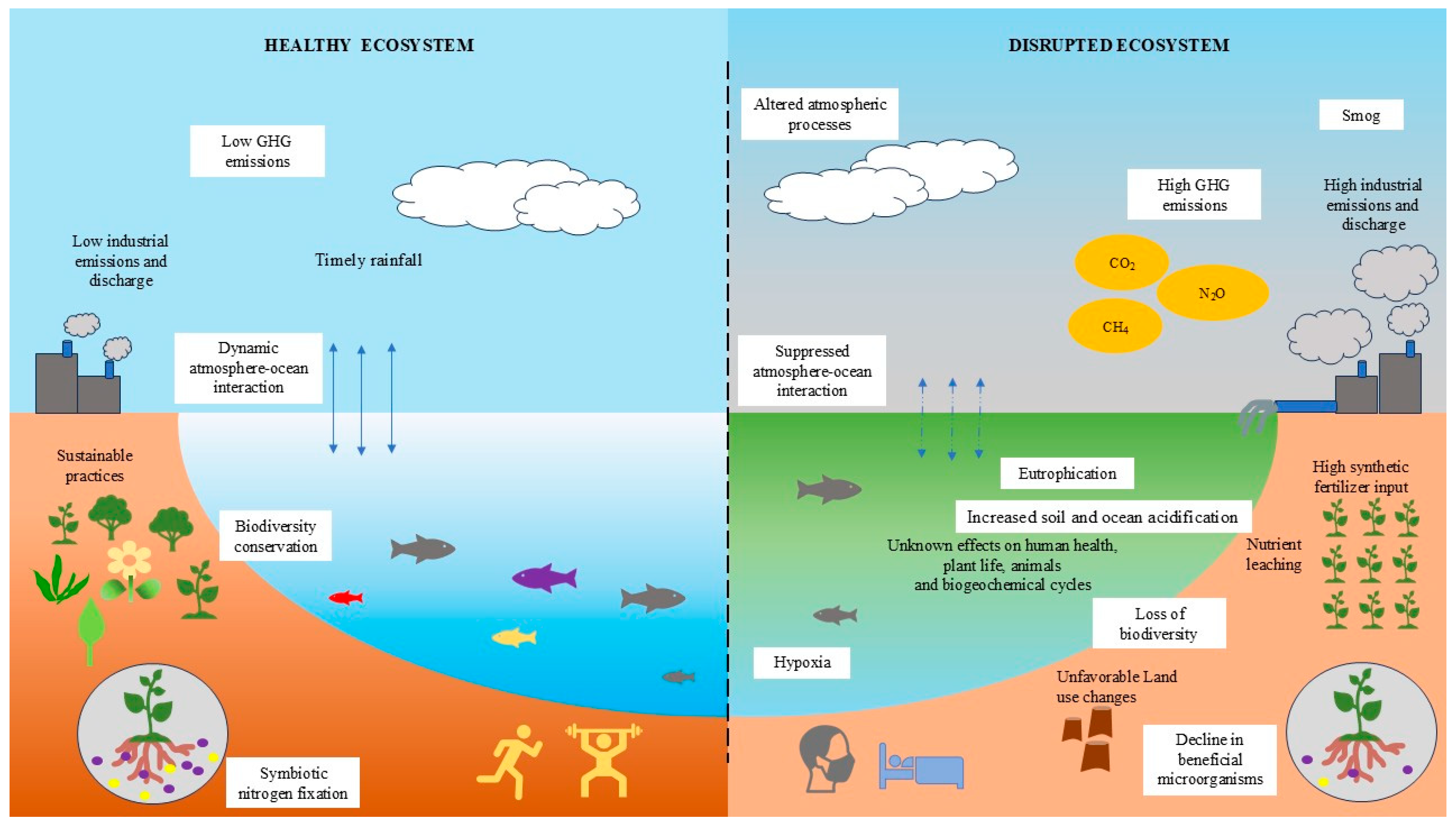 Nitrogen 06 00078 g001 Nitrogen 06 00078 g001