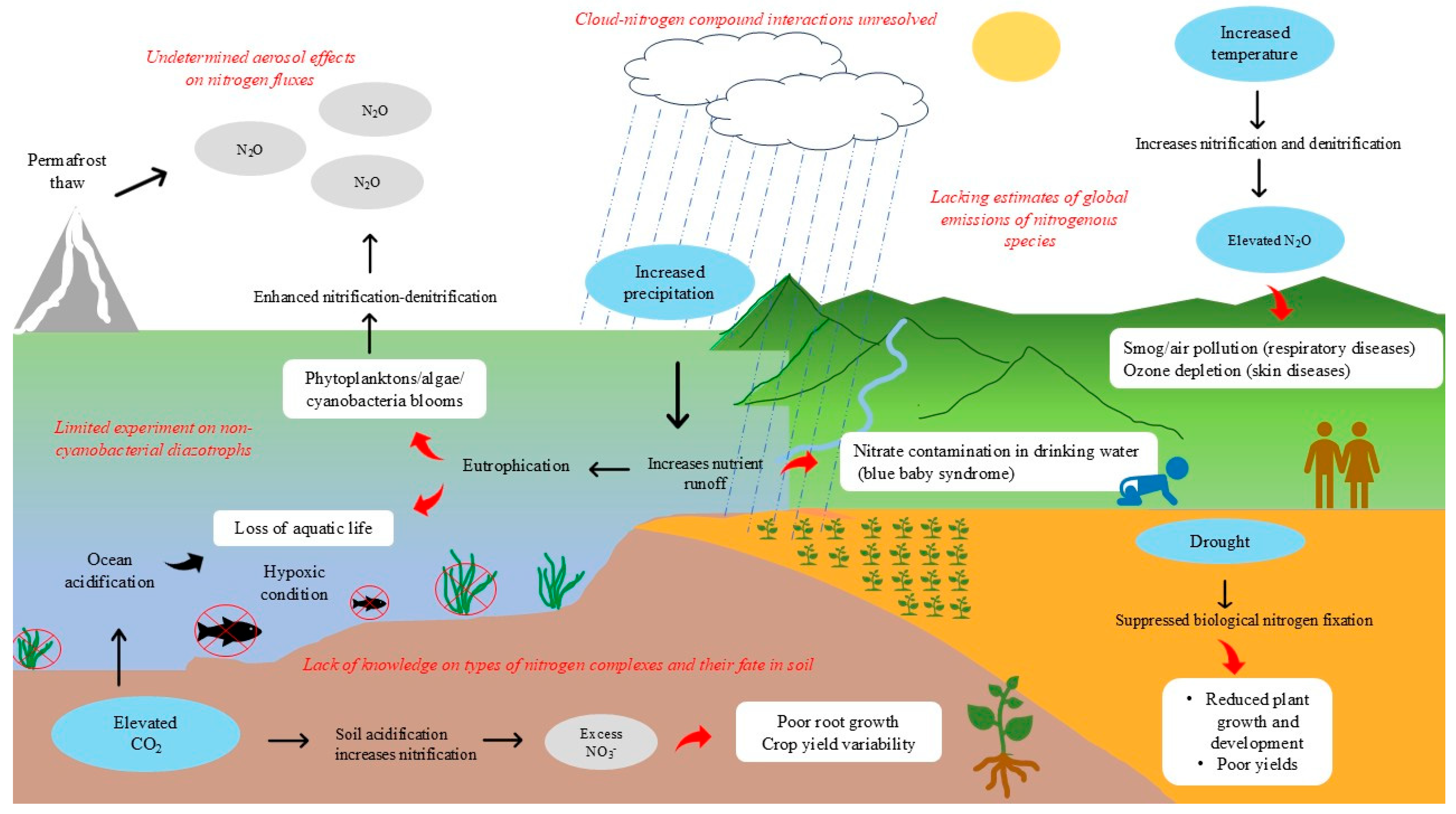 Nitrogen 06 00078 g002 Nitrogen 06 00078 g002