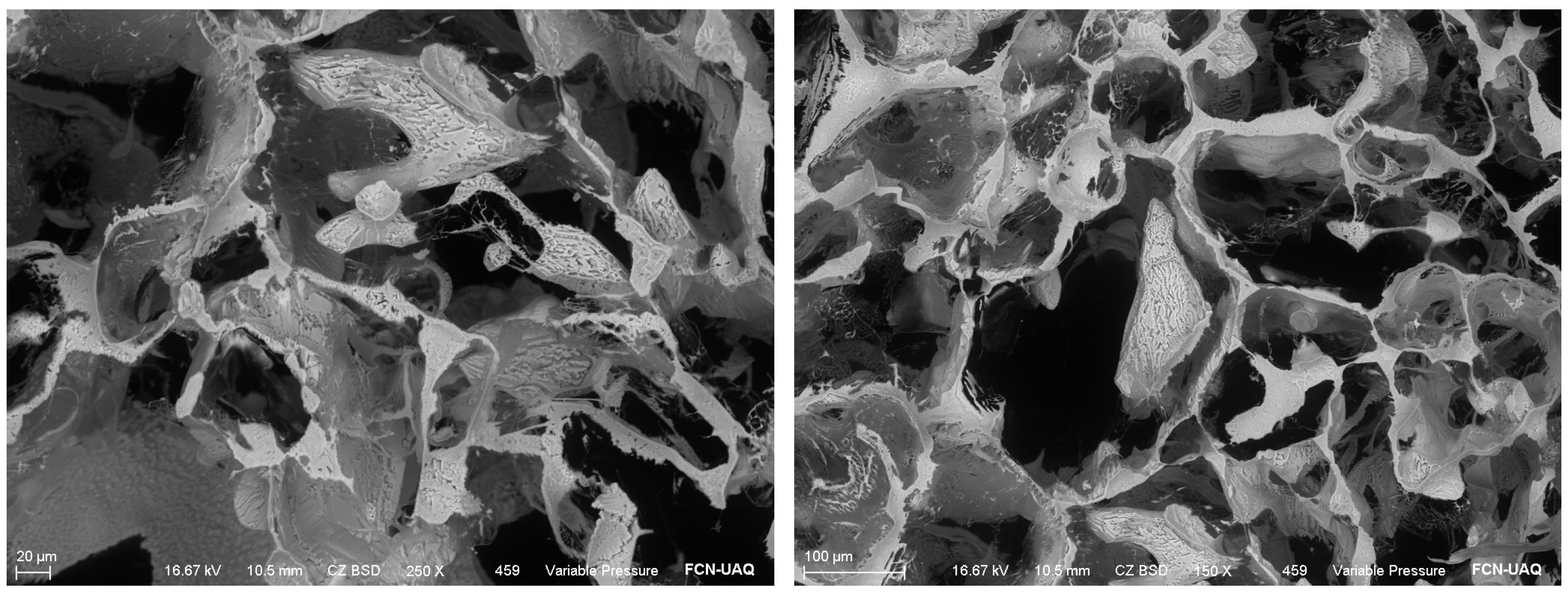 Nitrogen 06 00085 g001