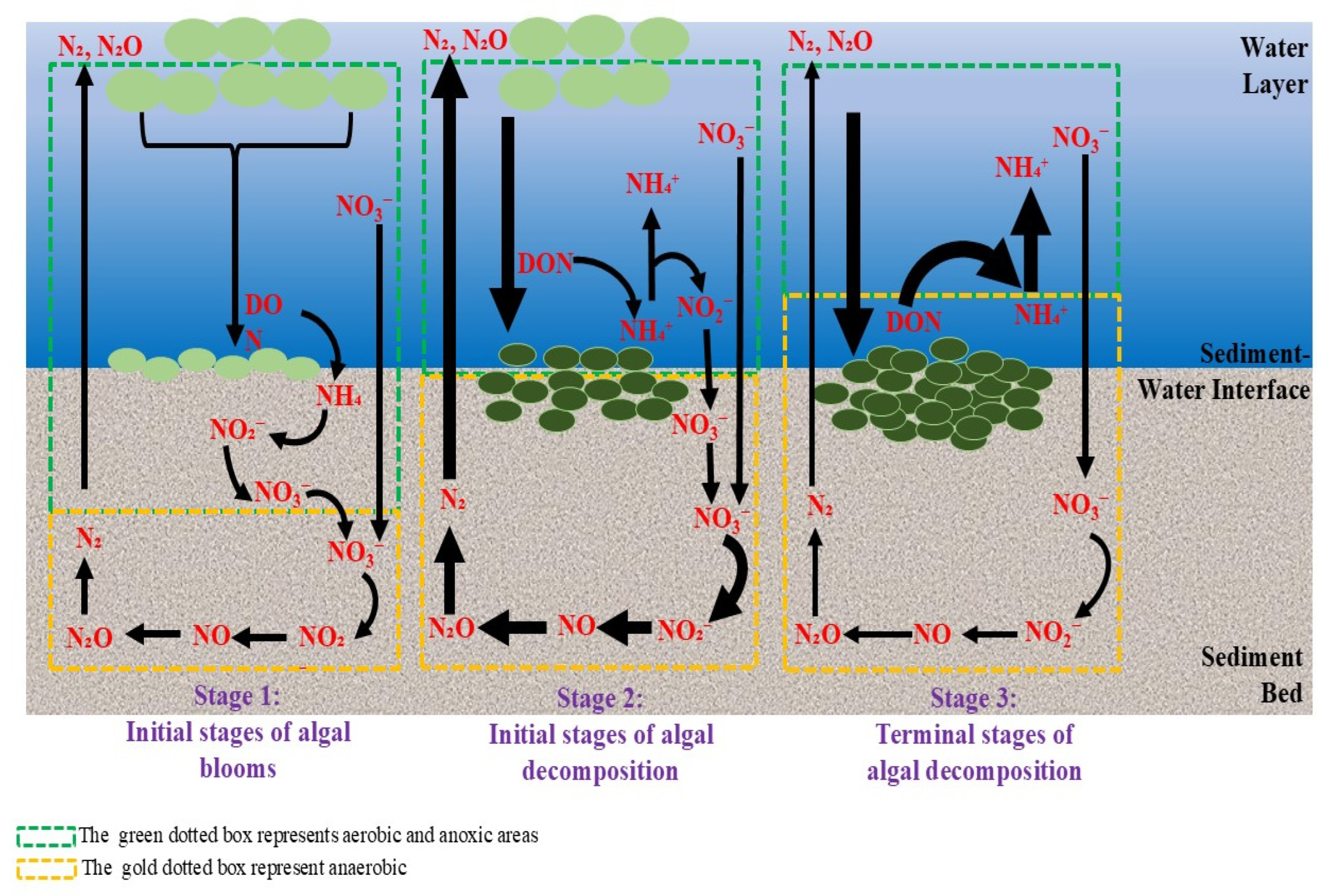 Nitrogen 06 00092 g007 Nitrogen 06 00092 g007