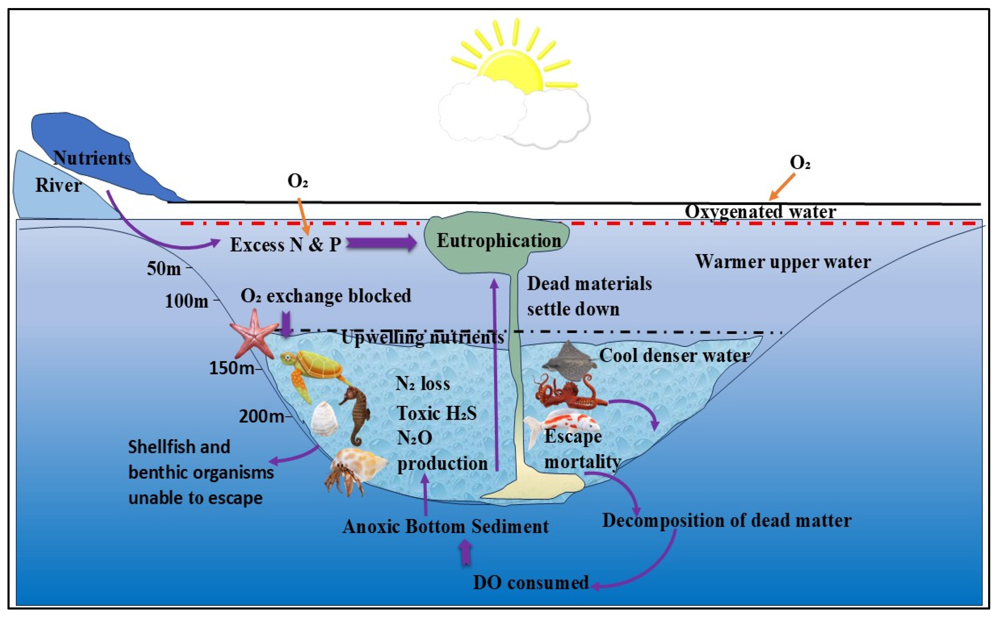 Nitrogen 06 00092 g008 Nitrogen 06 00092 g008