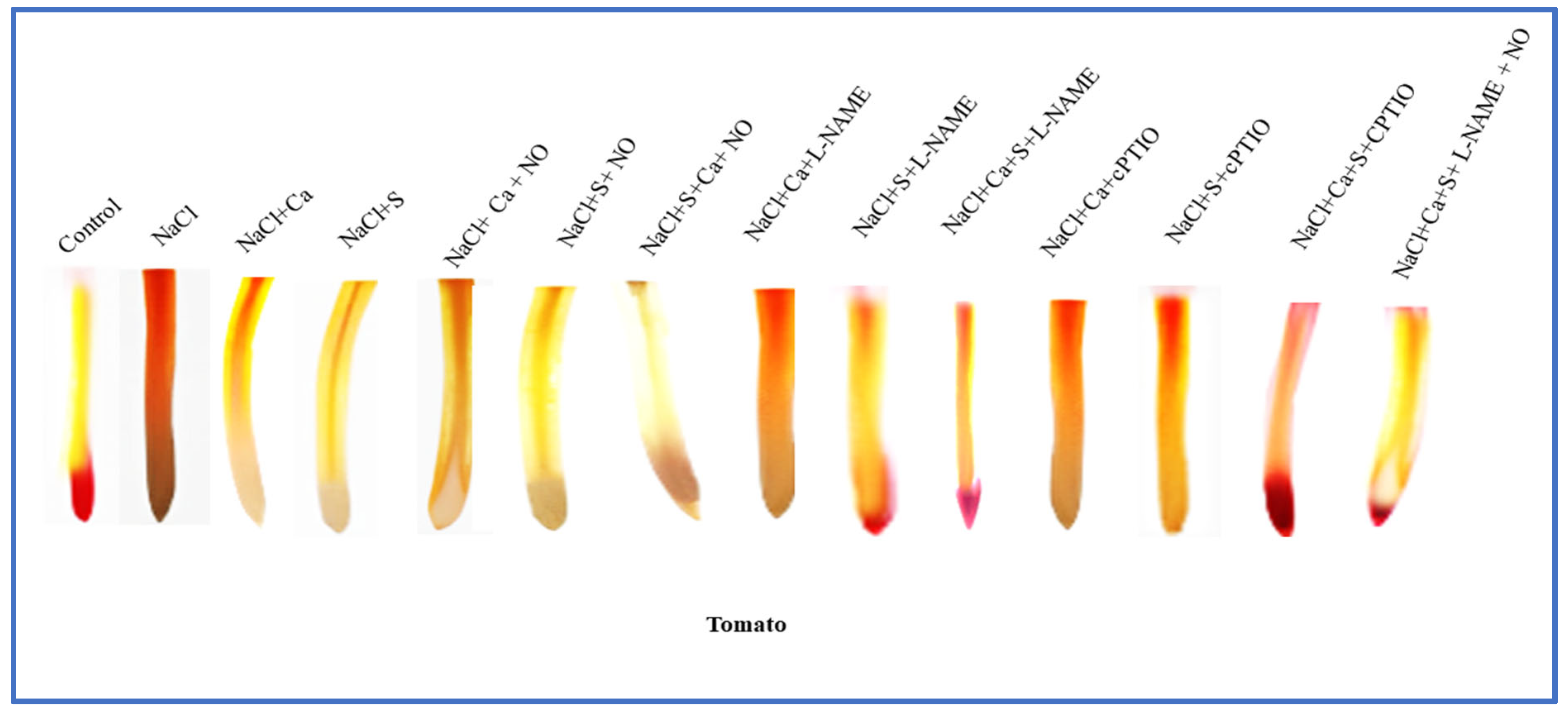 Nitrogen 06 00093 g009