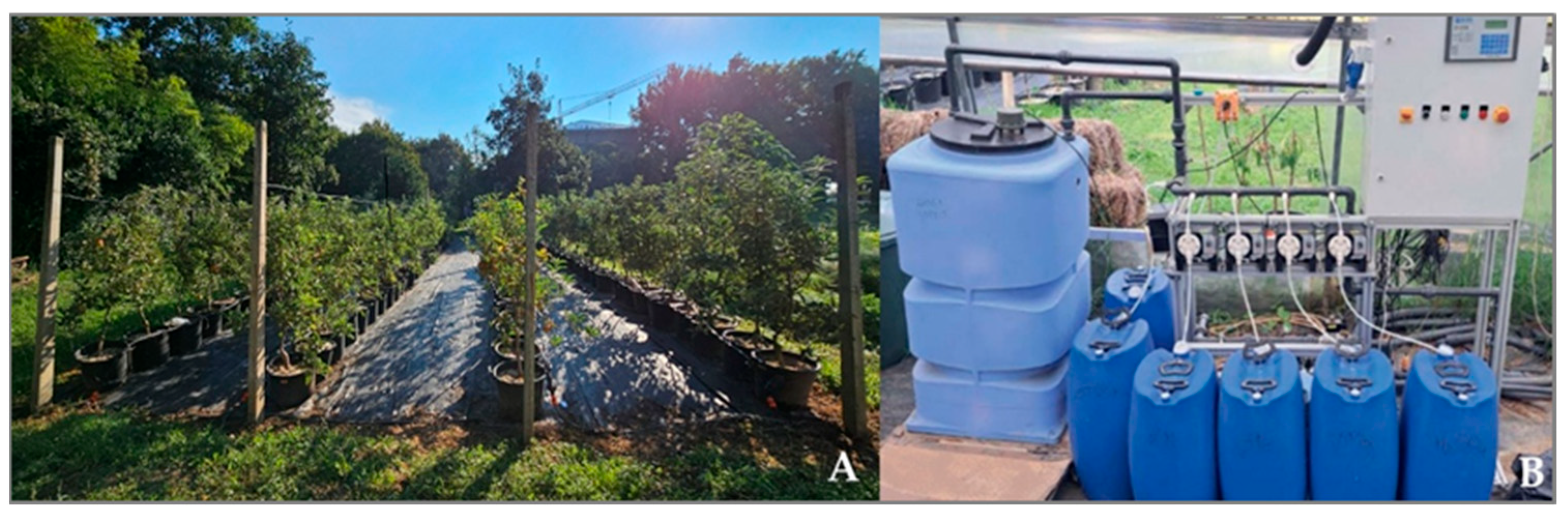 Nitrogen 06 00096 g001 Nitrogen 06 00096 g001