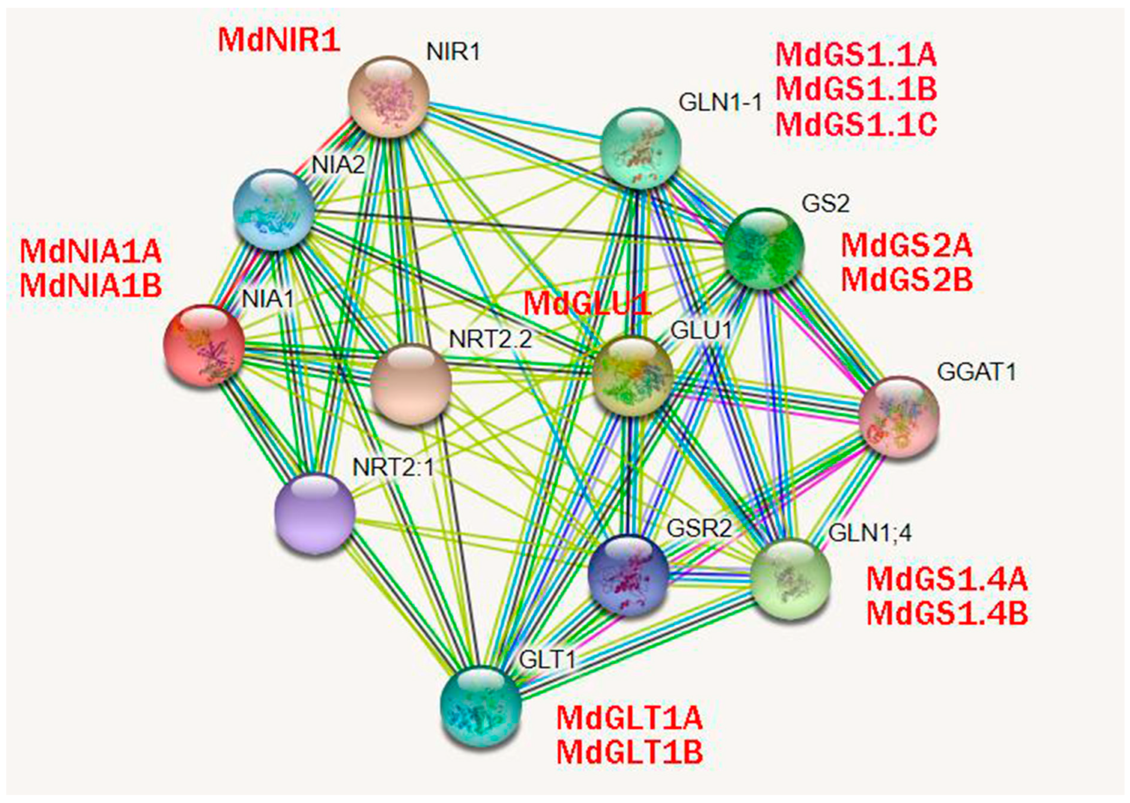 Nitrogen 06 00099 g002