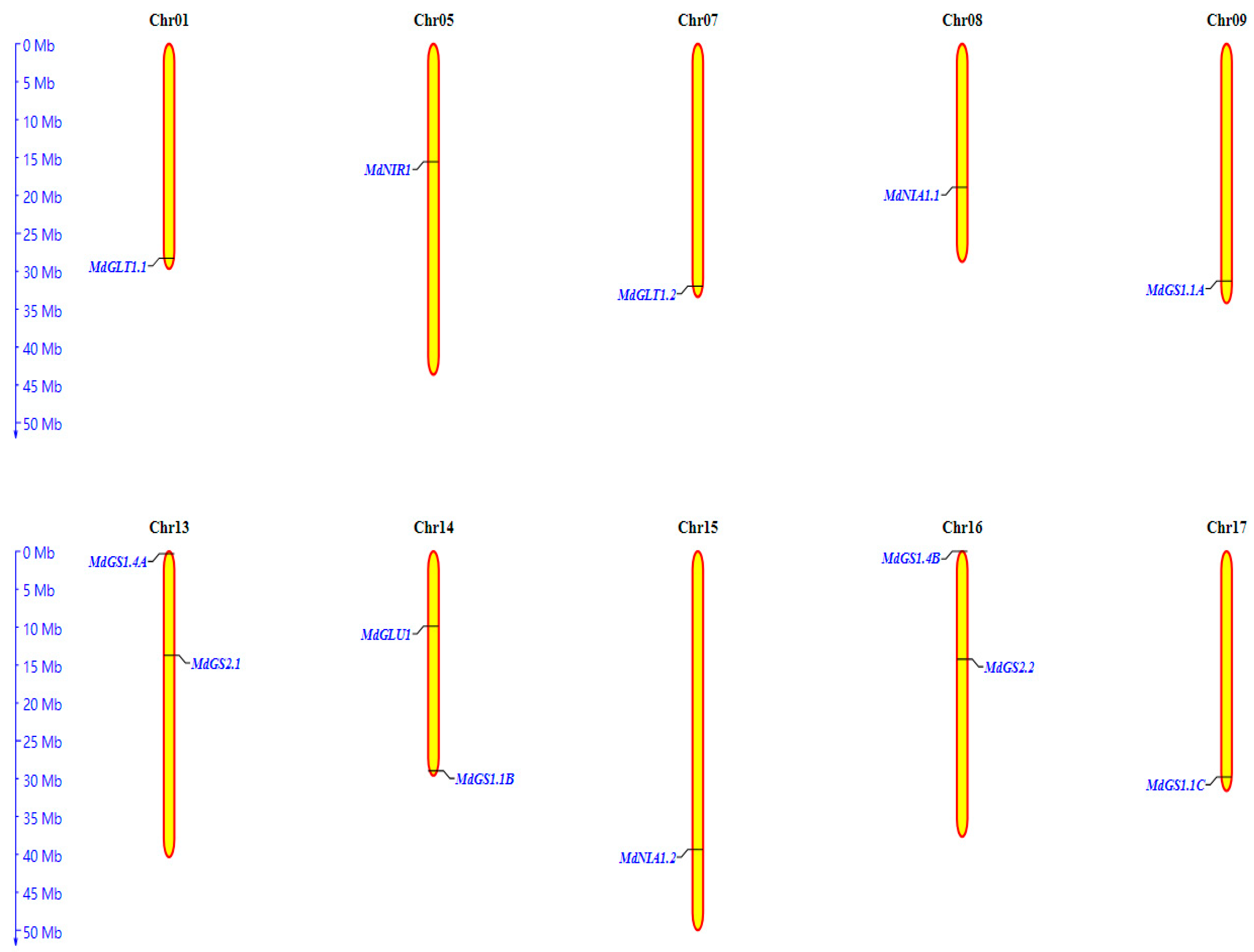 Nitrogen 06 00099 g003