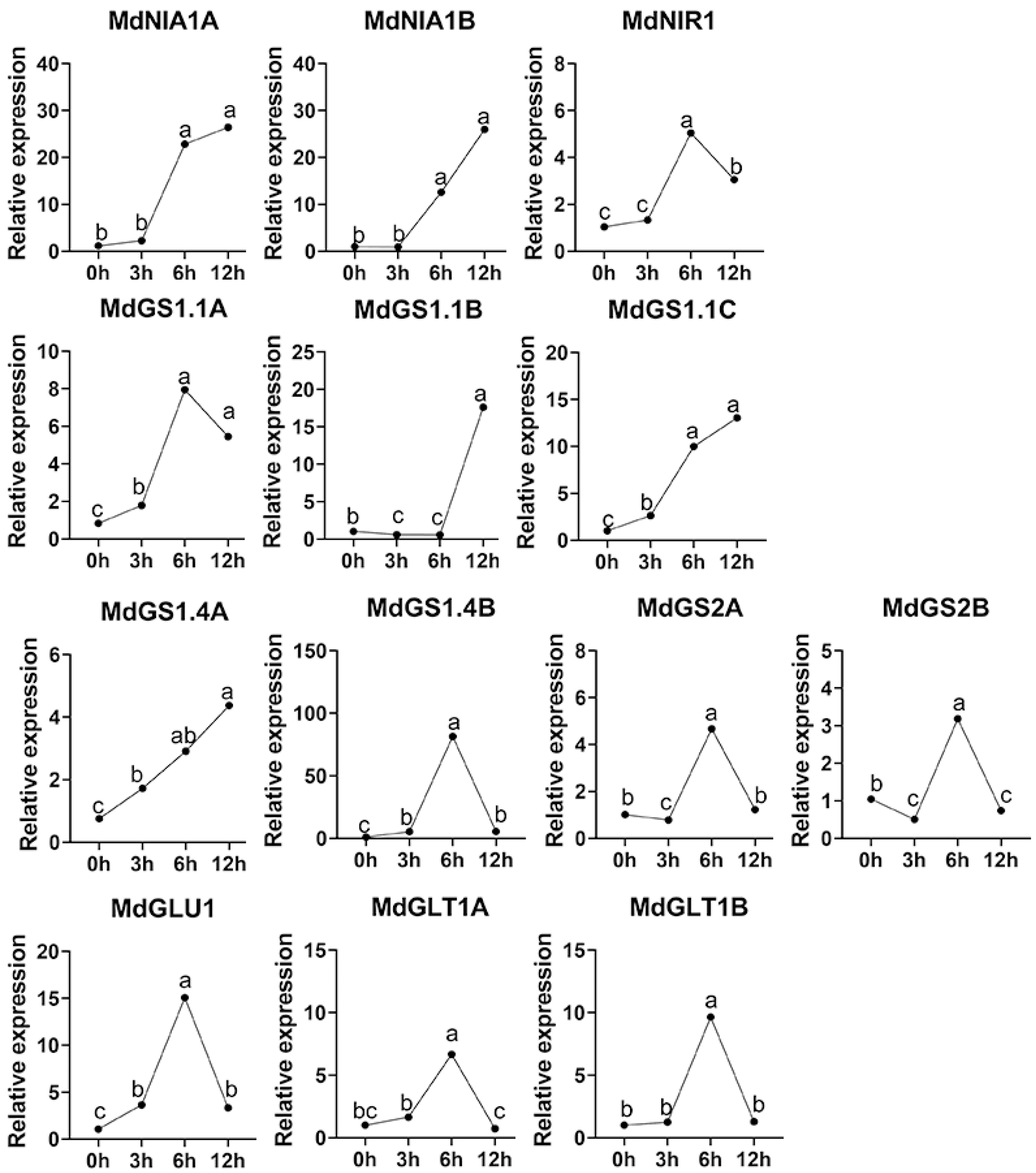 Nitrogen 06 00099 g005