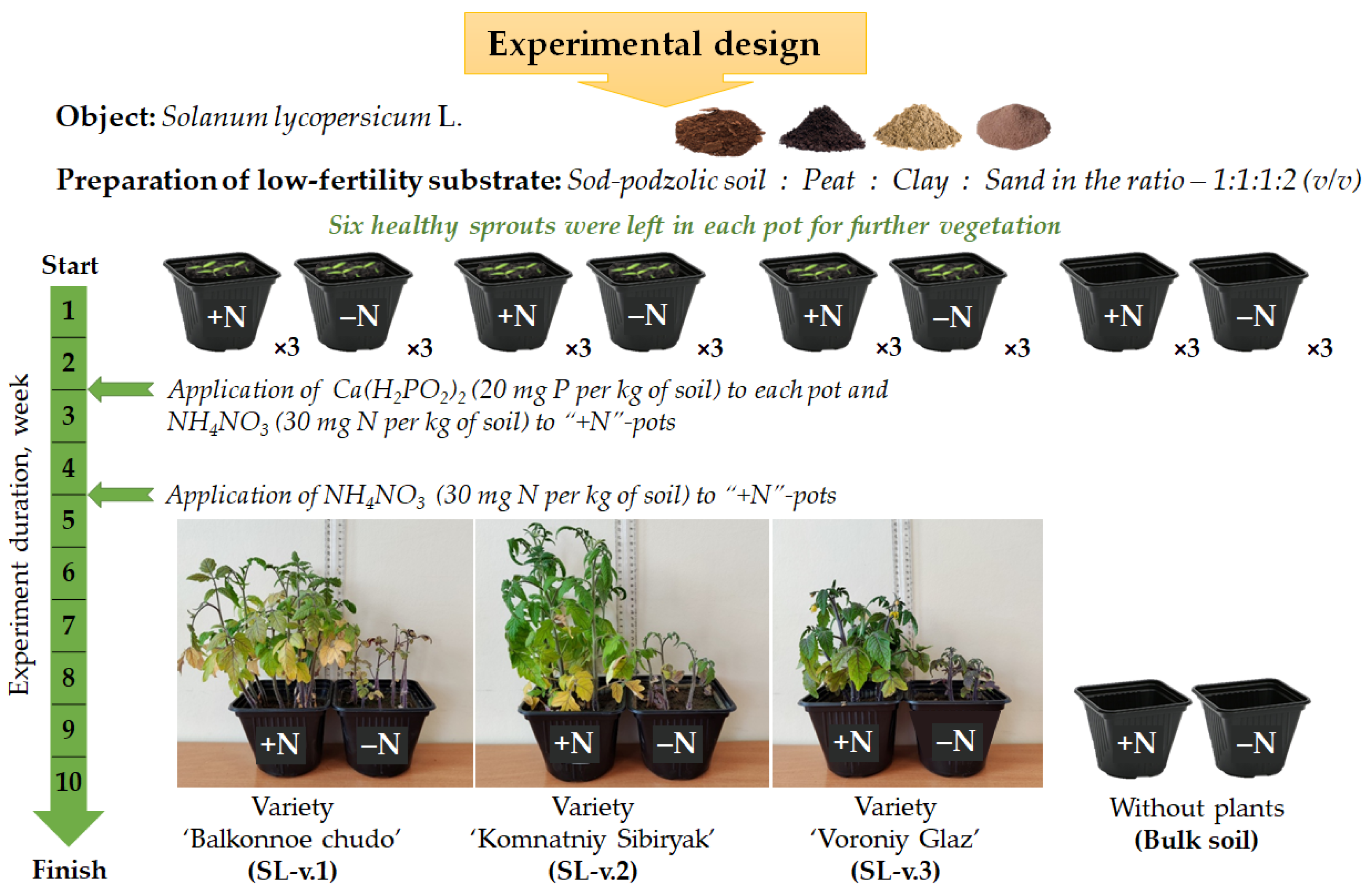 Nitrogen 06 00102 g001