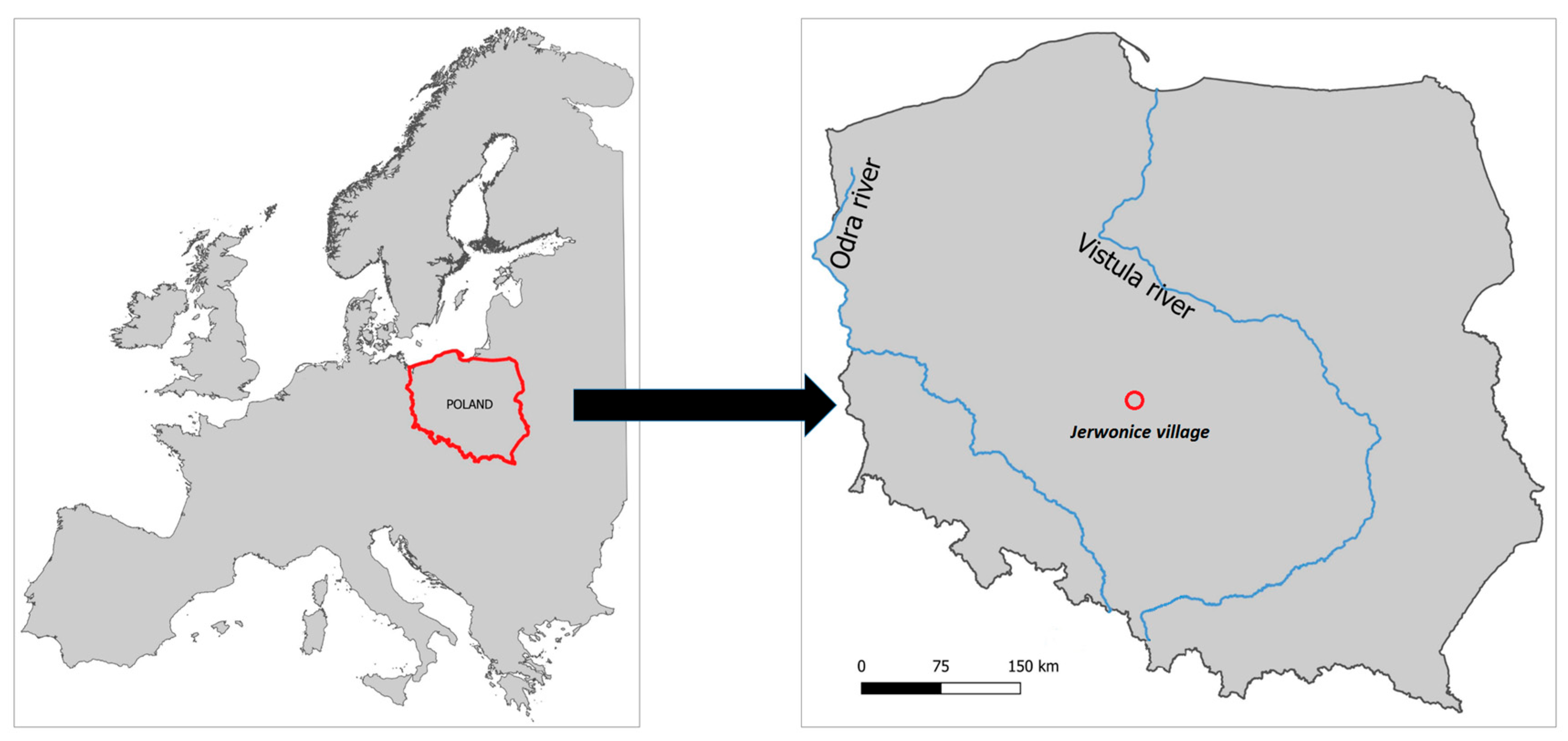 Nitrogen 06 00105 g001