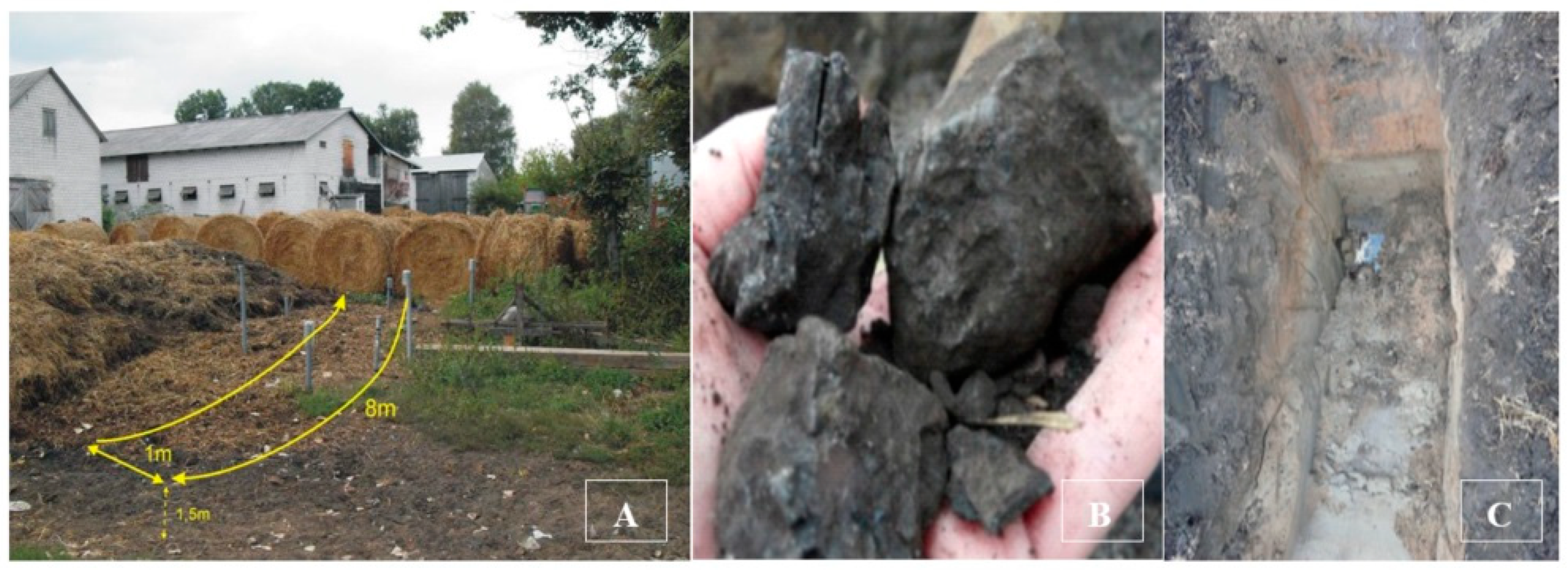 Nitrogen 06 00105 g002