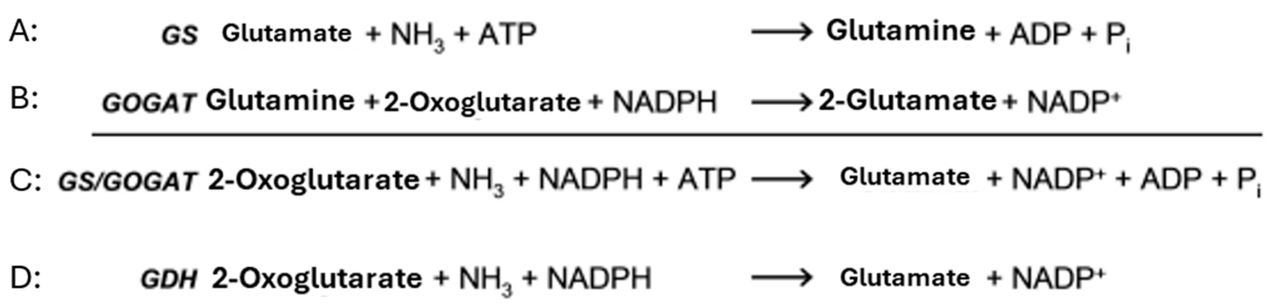 Nitrogen 06 00107 g001 Nitrogen 06 00107 g001