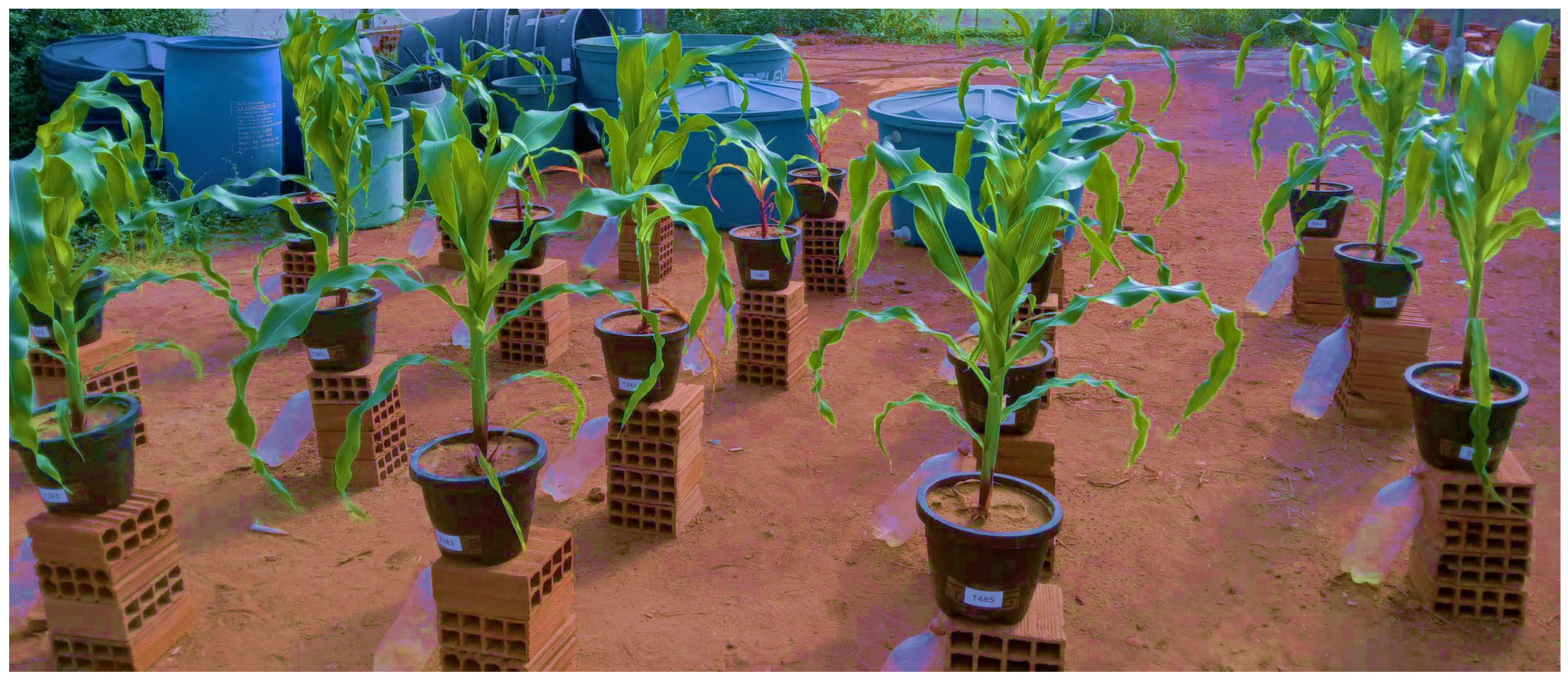 Nitrogen 06 00112 g003 Nitrogen 06 00112 g003