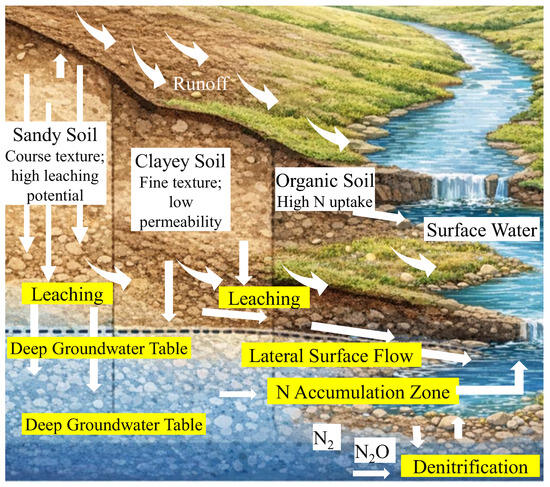 Landscape Determinants of Nitrogen Leaching Risk: Mechanisms