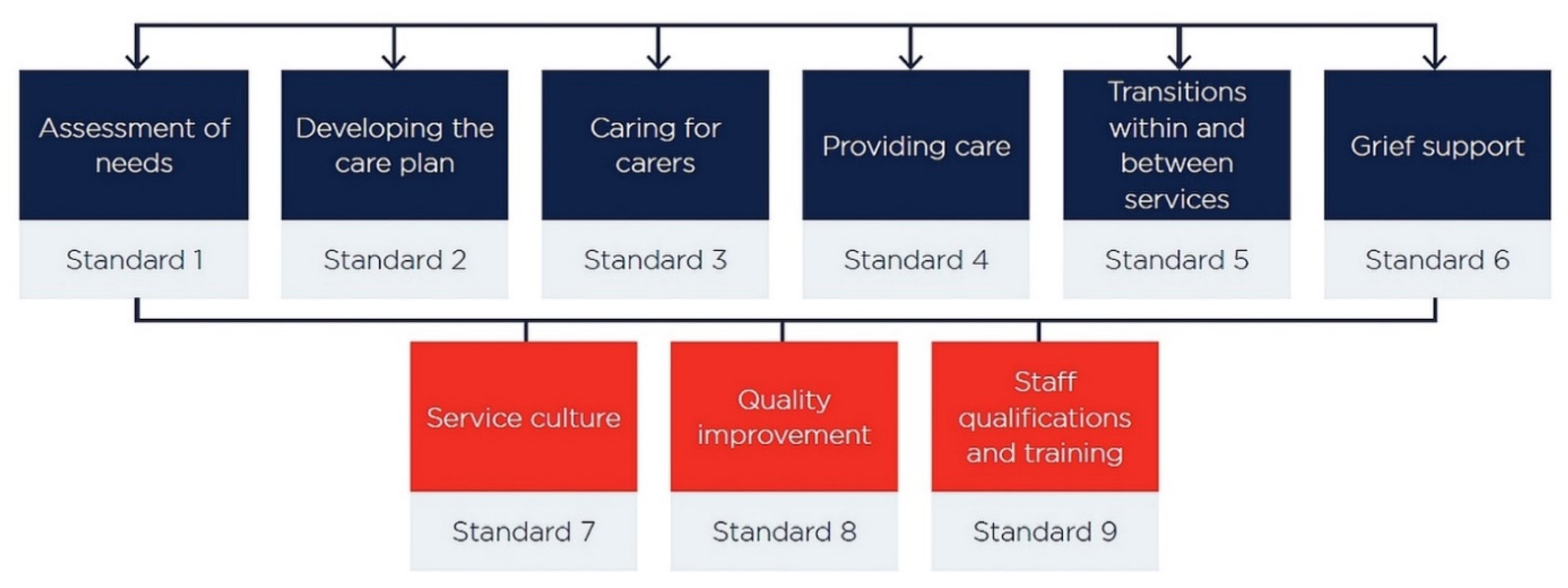 palliative care nursing care plan