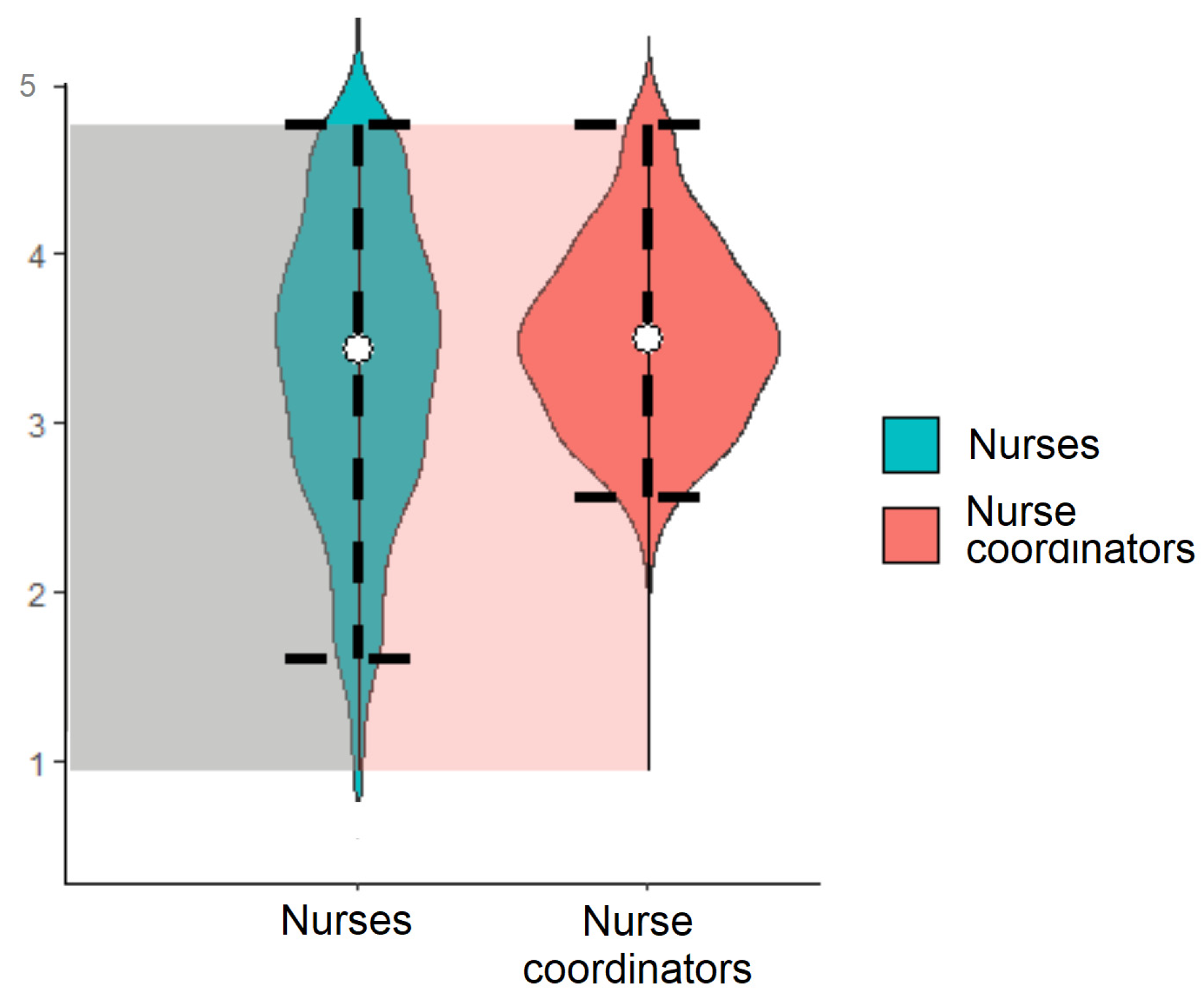 Nursrep 13 00102 g001