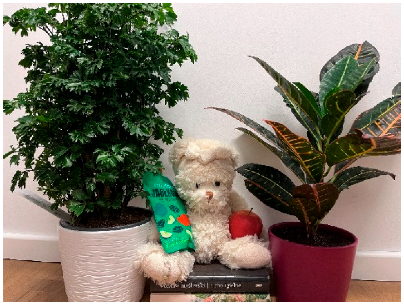 Nursrep 14 00163 g001