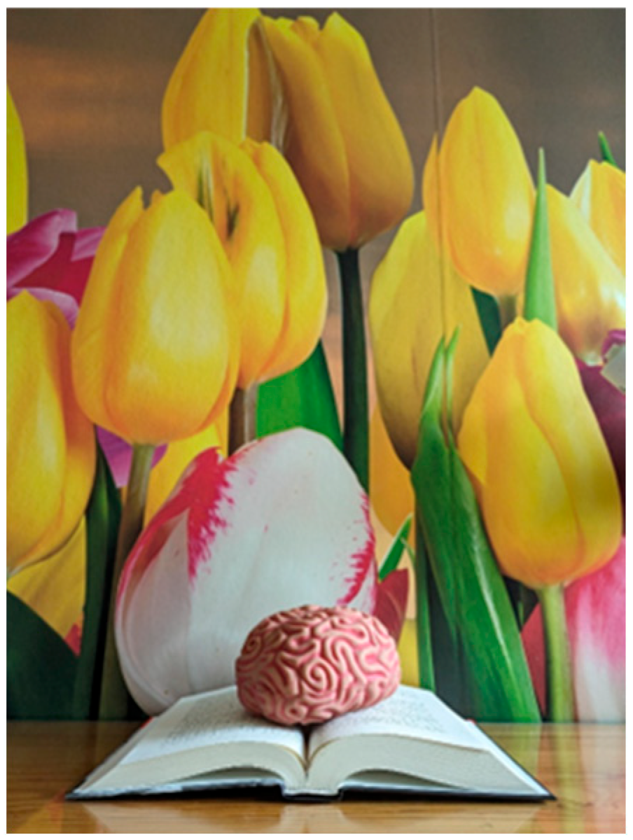 Nursrep 14 00163 g003