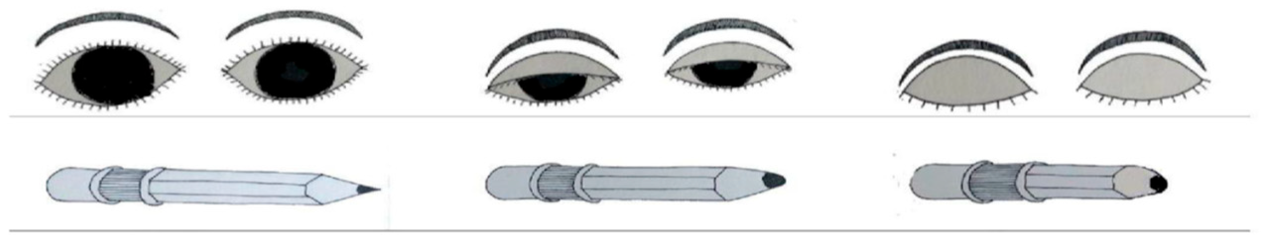 Nursrep 15 00029 g001