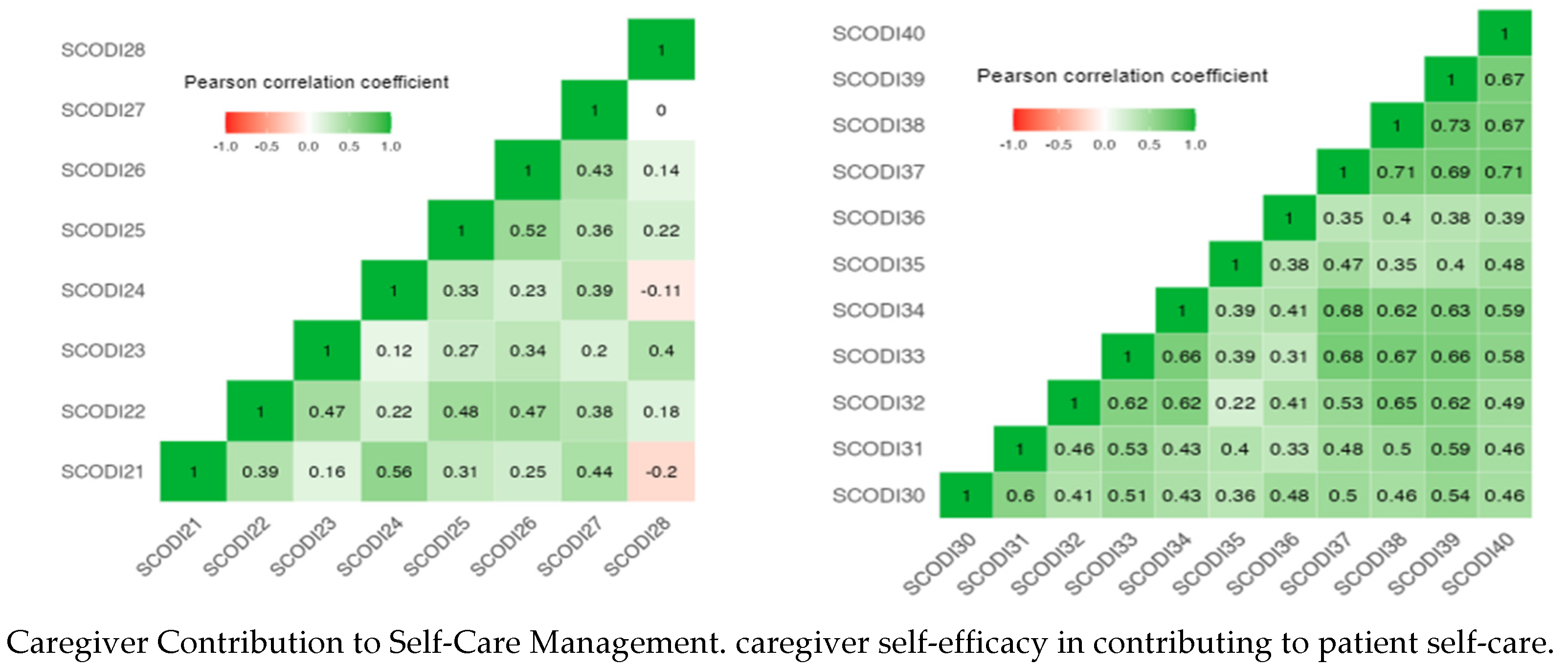 Nursrep 15 00129 g002b