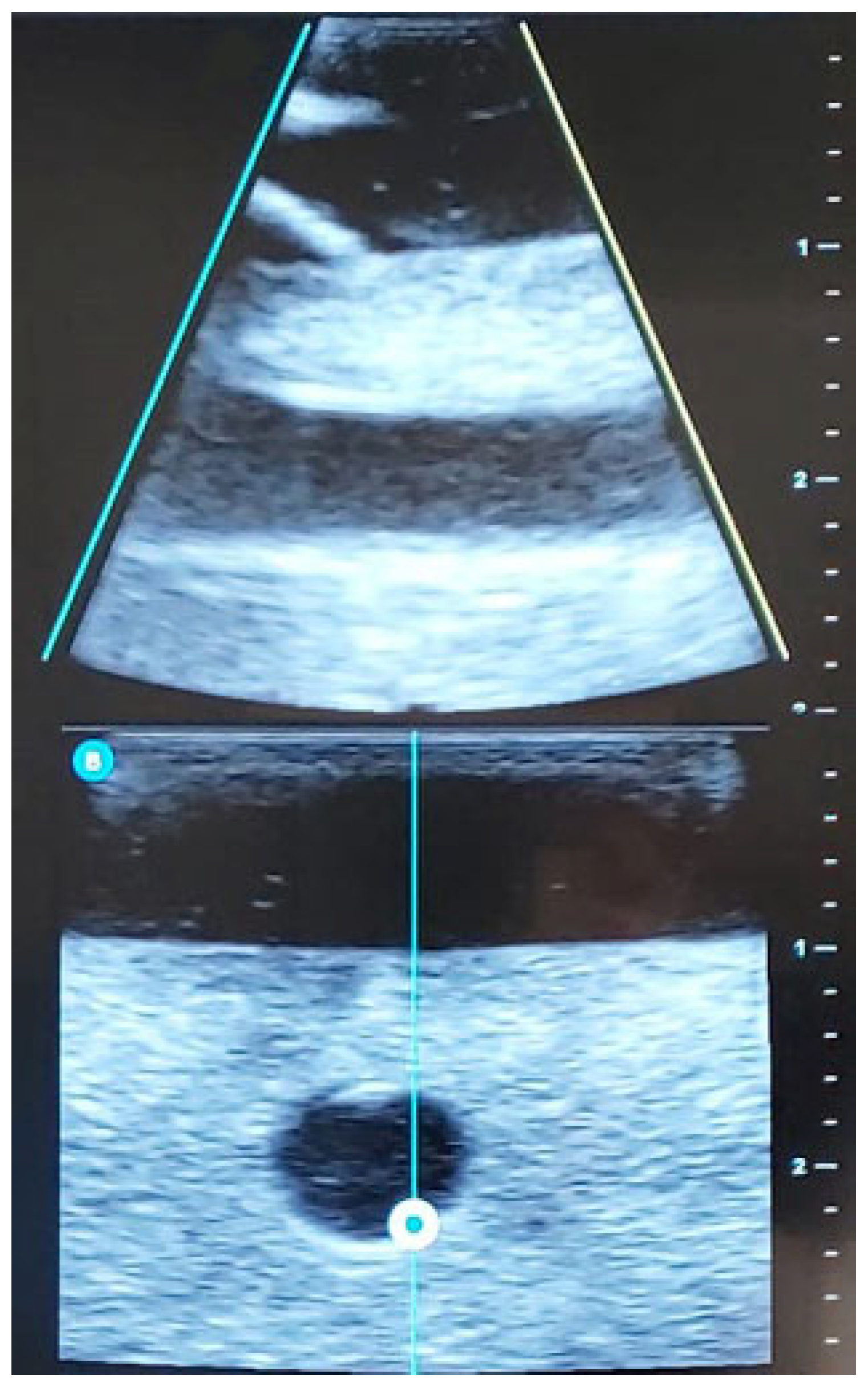 Nursrep 15 00177 g002