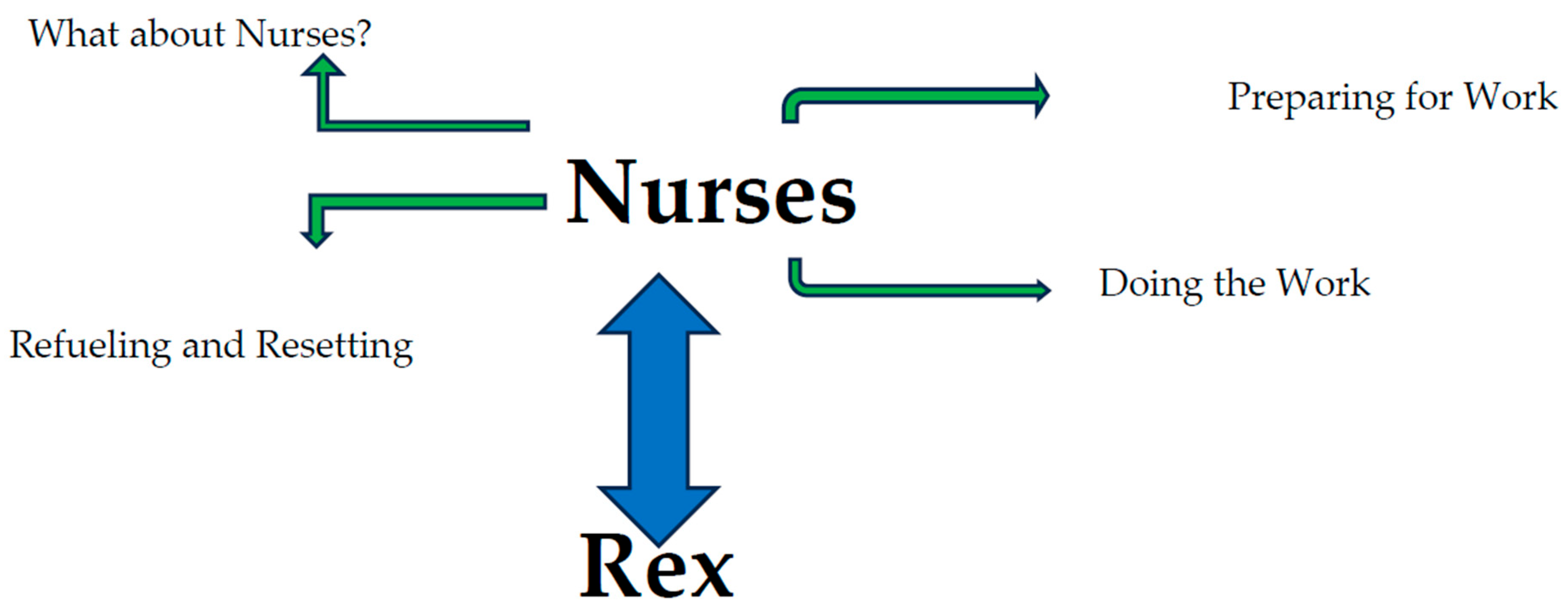 Nursrep 15 00246 g001