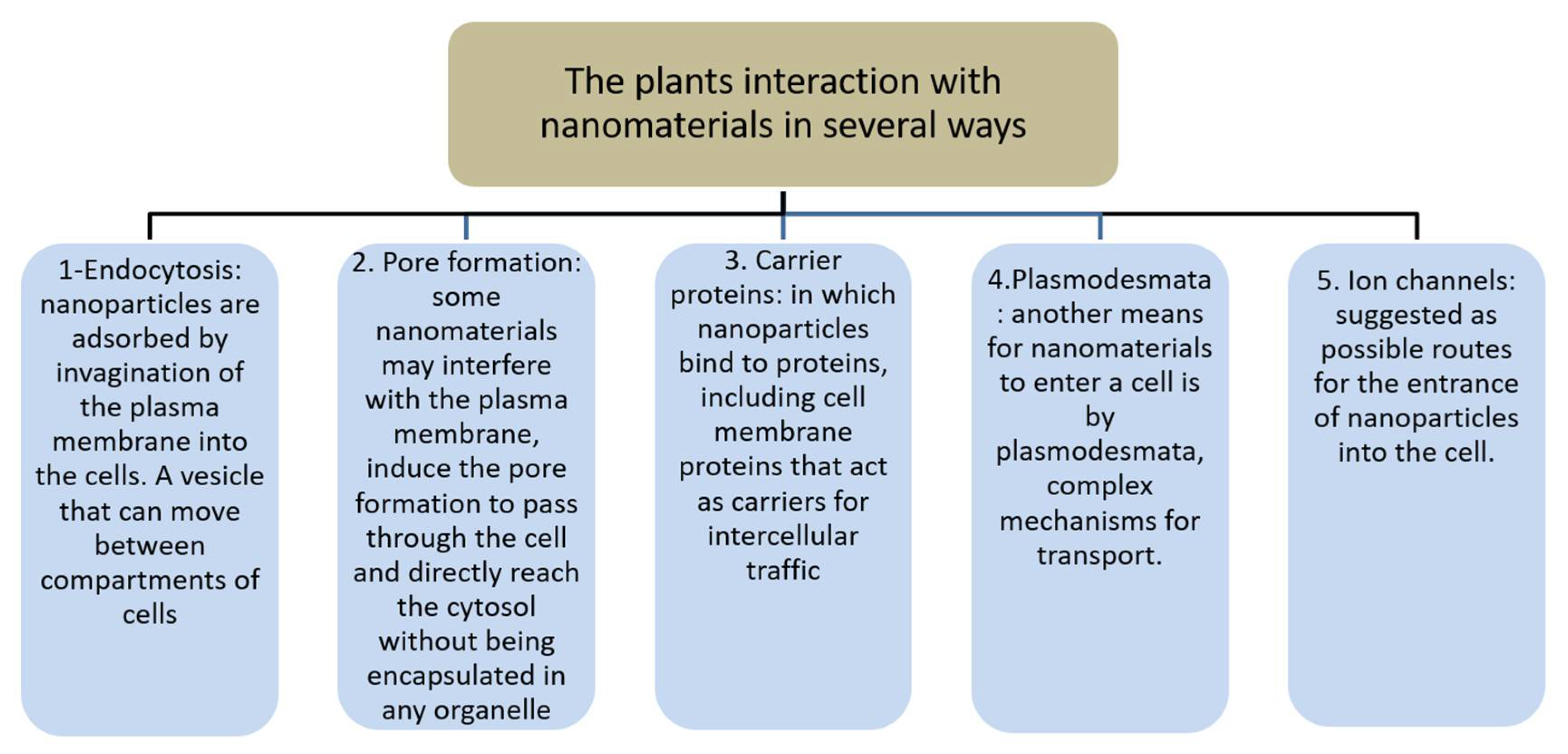 Nutraceuticals 01 00005 g001