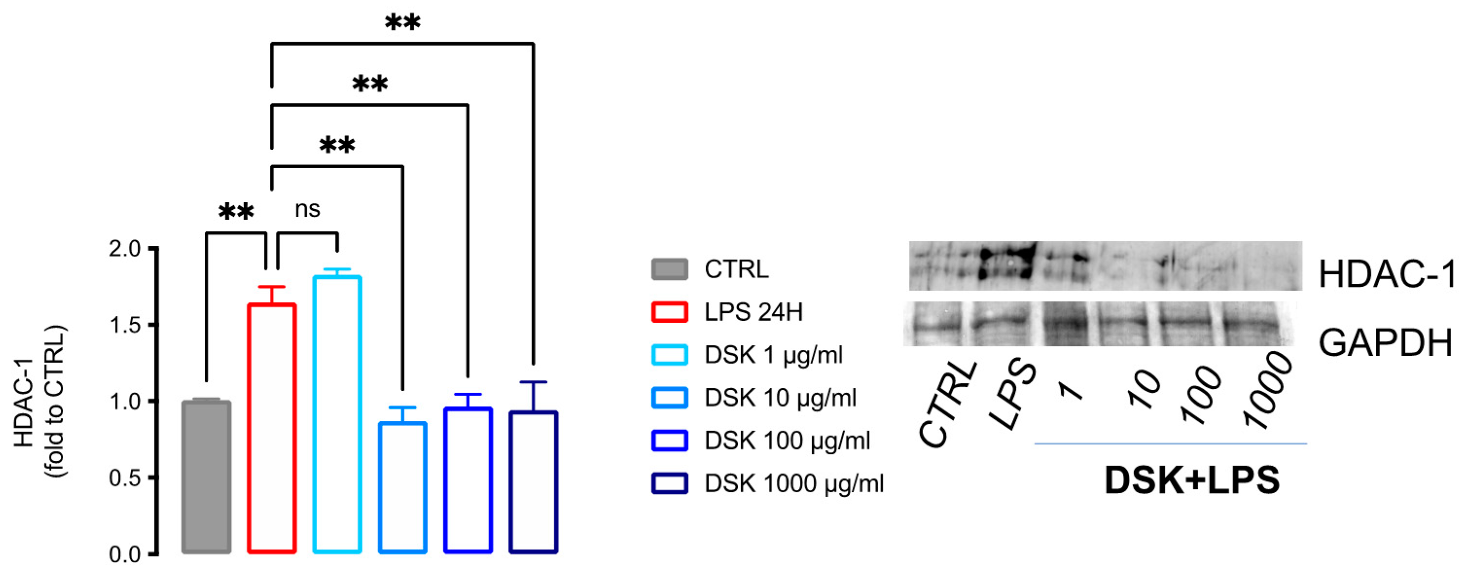 Nutraceuticals 02 00002 g002